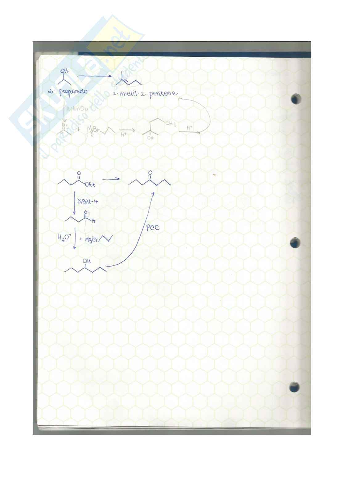 Chimica organica - esercizi e mappe concettuali  Pag. 31
