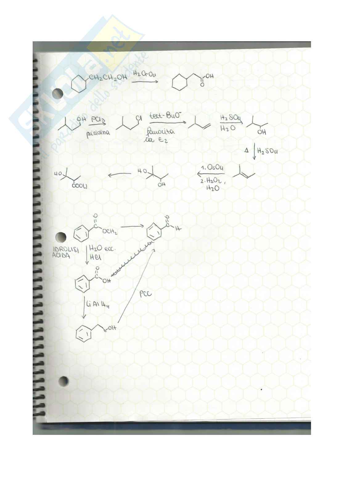 Chimica organica - esercizi e mappe concettuali  Pag. 41