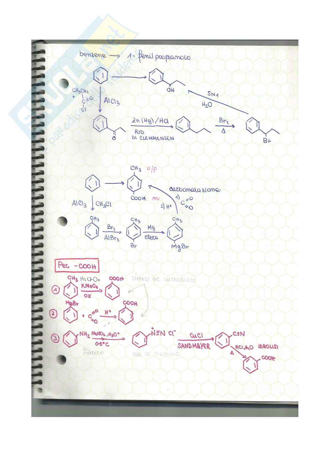 Chimica organica - esercizi e mappe concettuali  Pag. 6