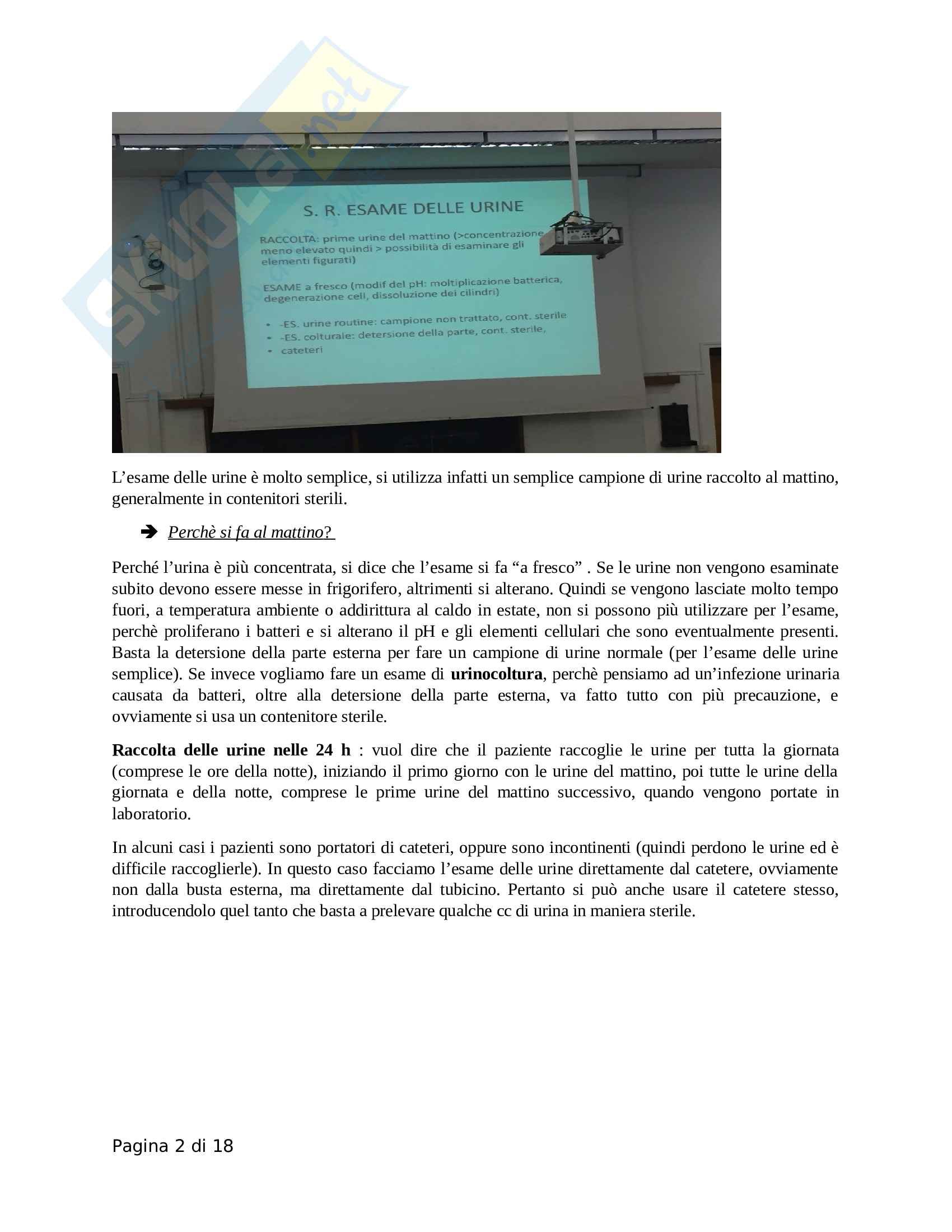 Semeiotica renale Pag. 2