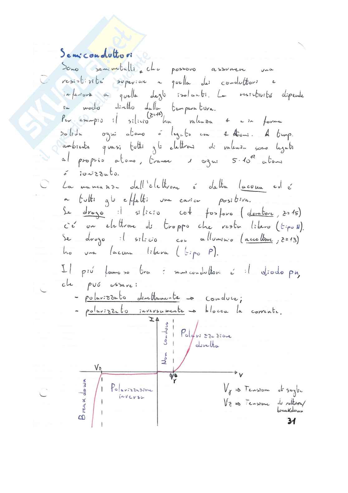 Appunti di Fisica Pag. 31