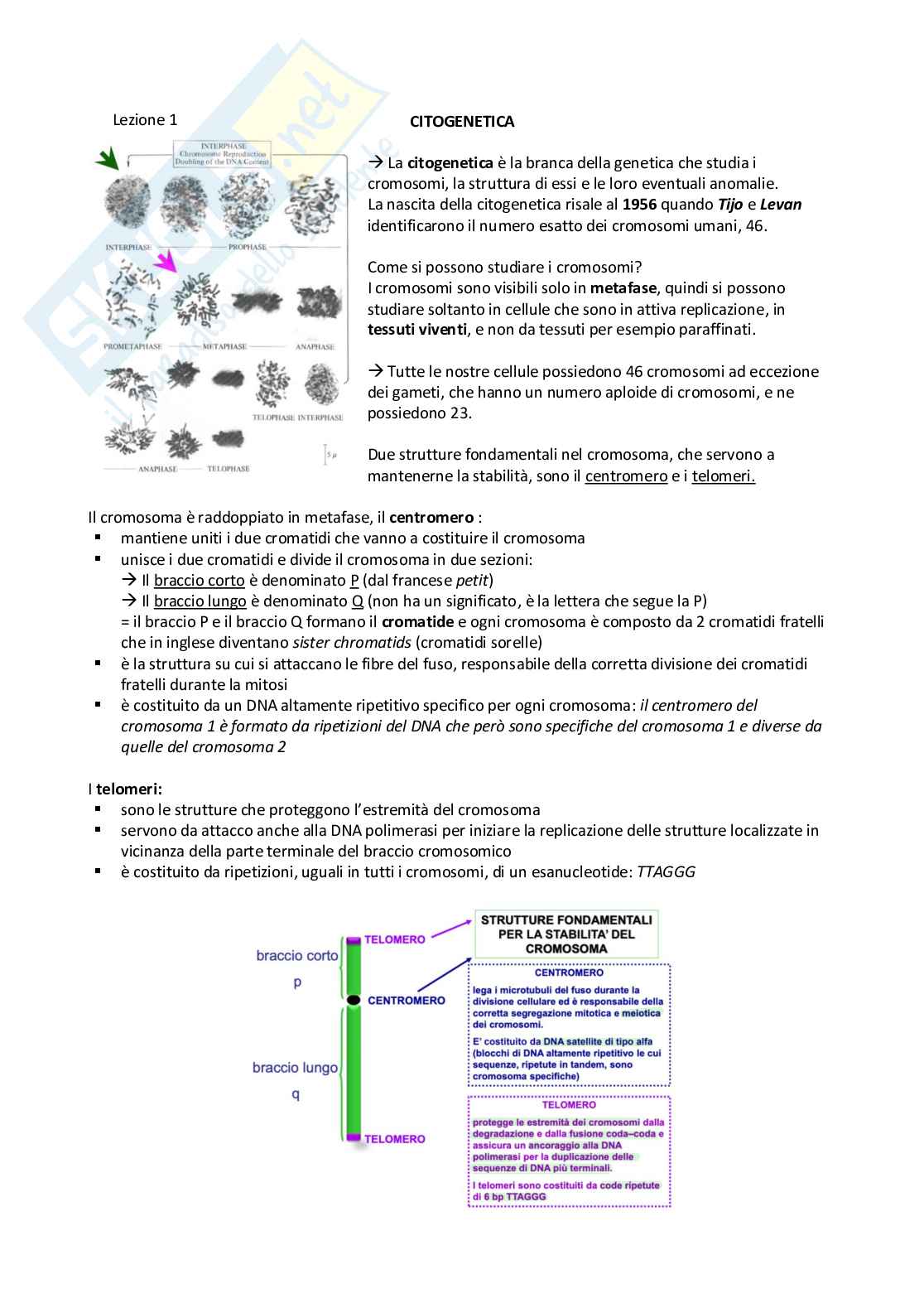Schemi genetica I Pag. 1