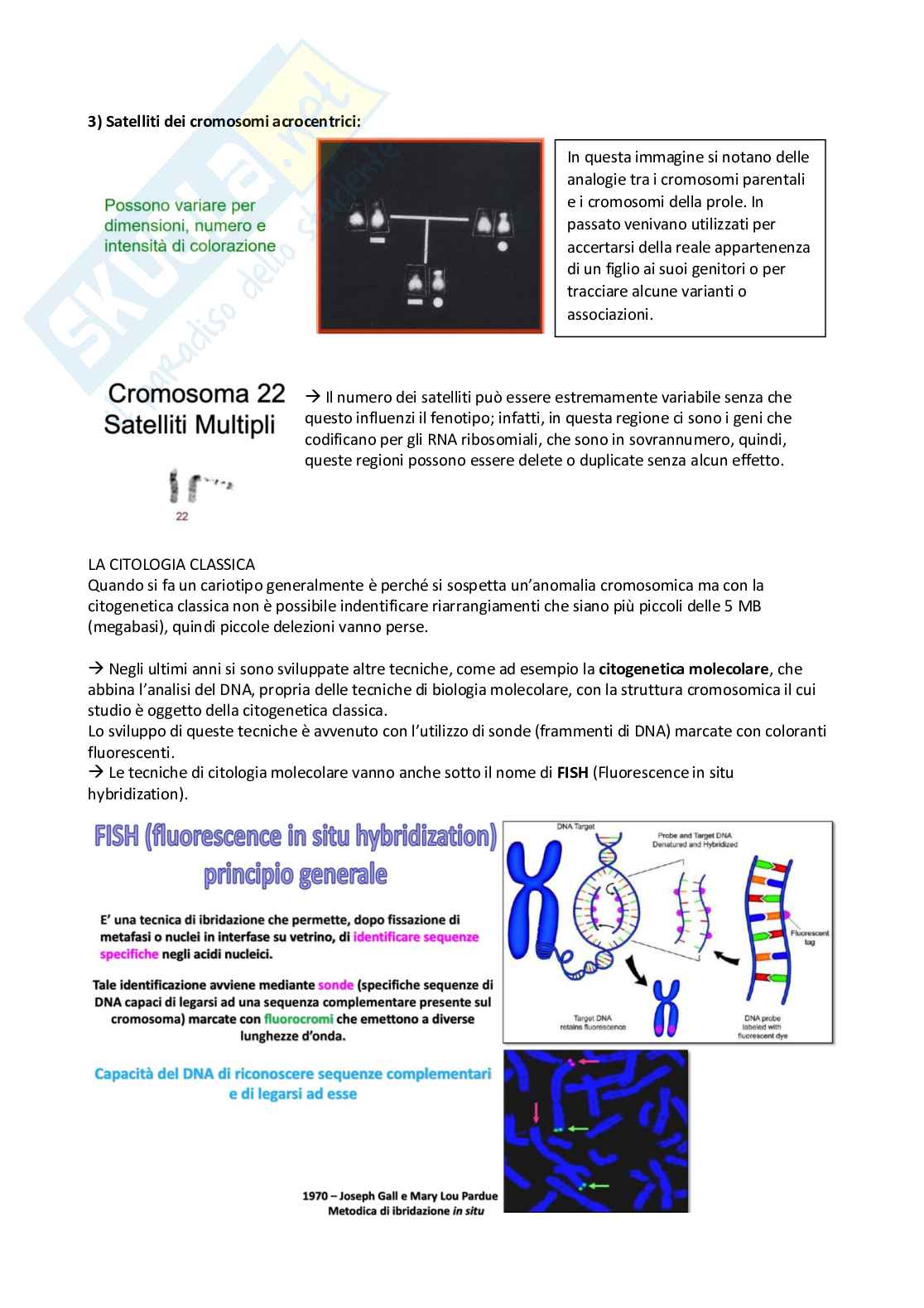 Schemi genetica I Pag. 11