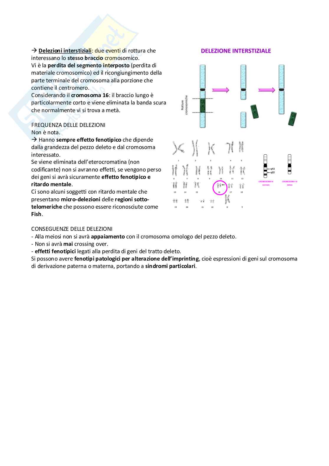 Schemi genetica I Pag. 31