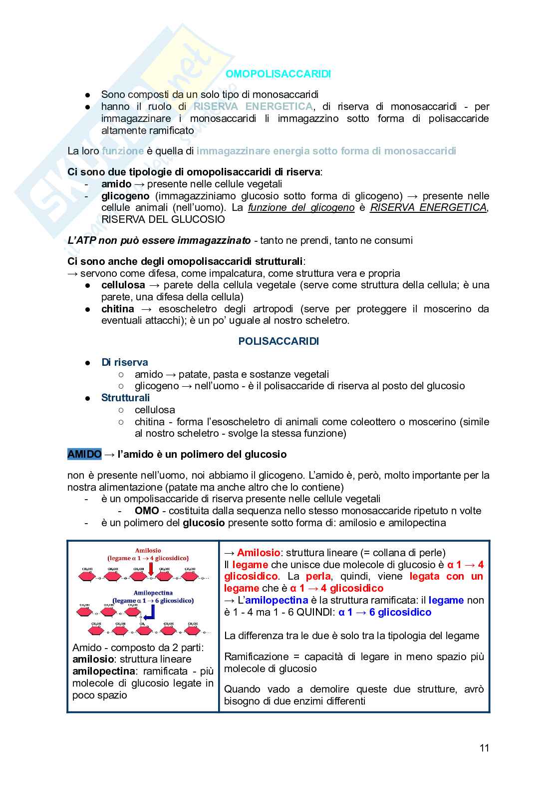 Biochimica generale e dello sport Pag. 11