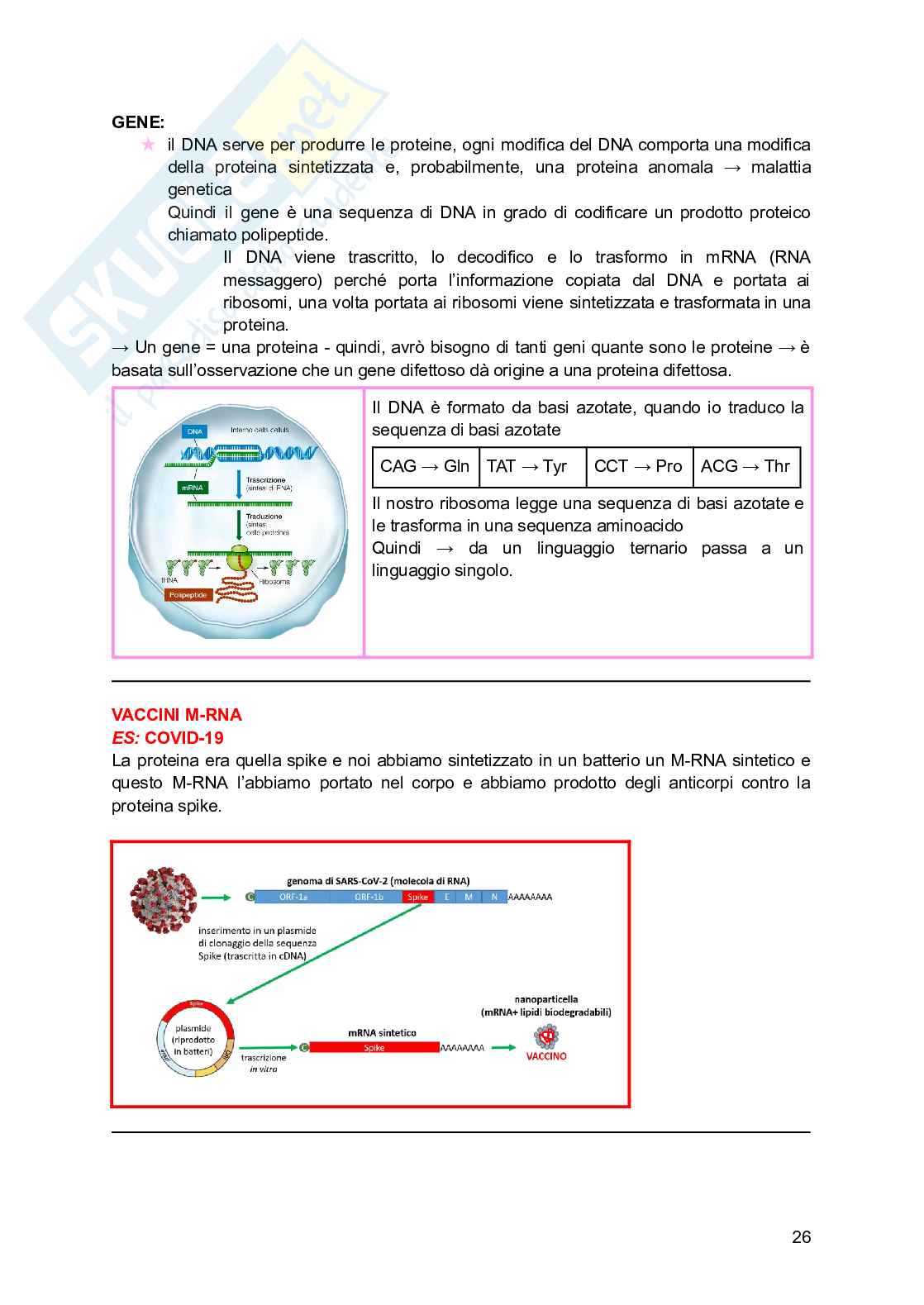Biochimica generale e dello sport Pag. 26