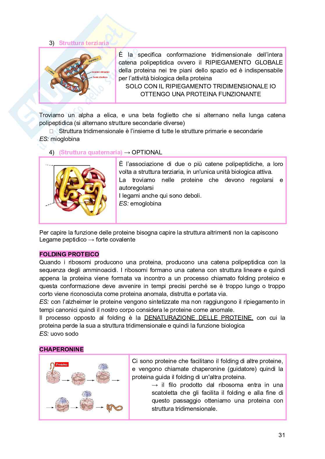 Biochimica generale e dello sport Pag. 31