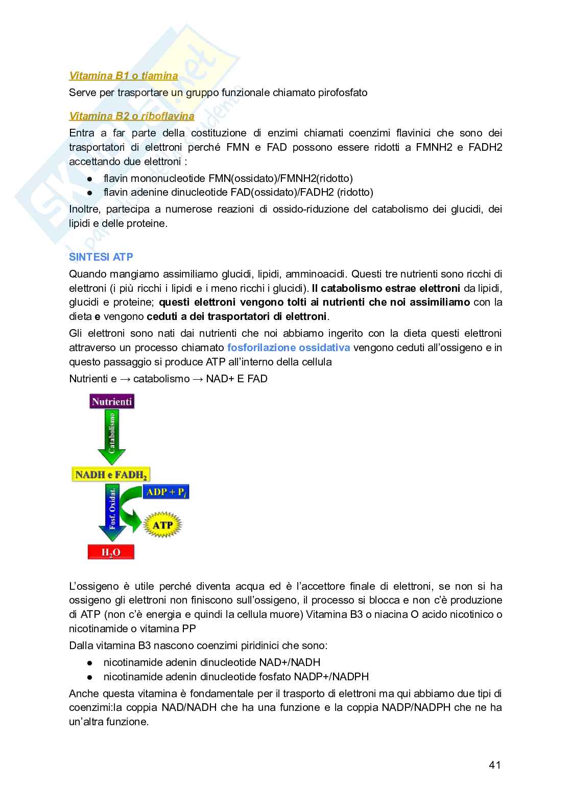 Biochimica generale e dello sport Pag. 41