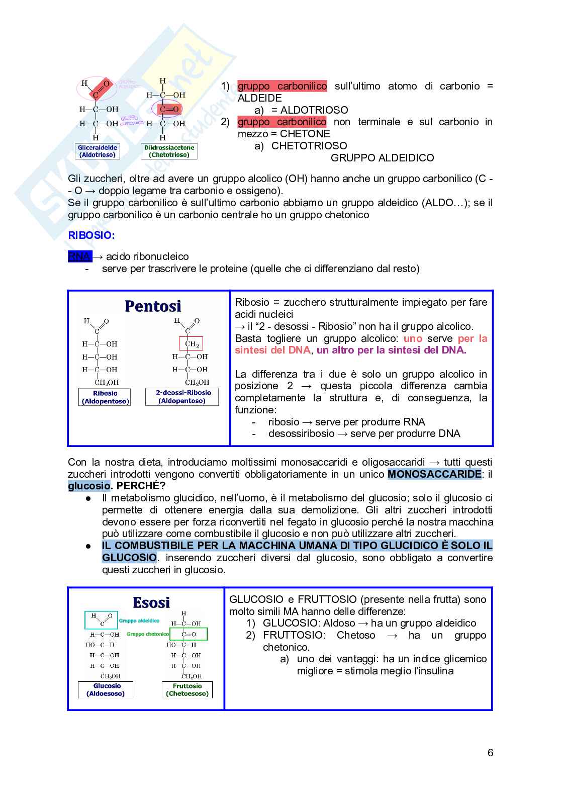 Biochimica generale e dello sport Pag. 6