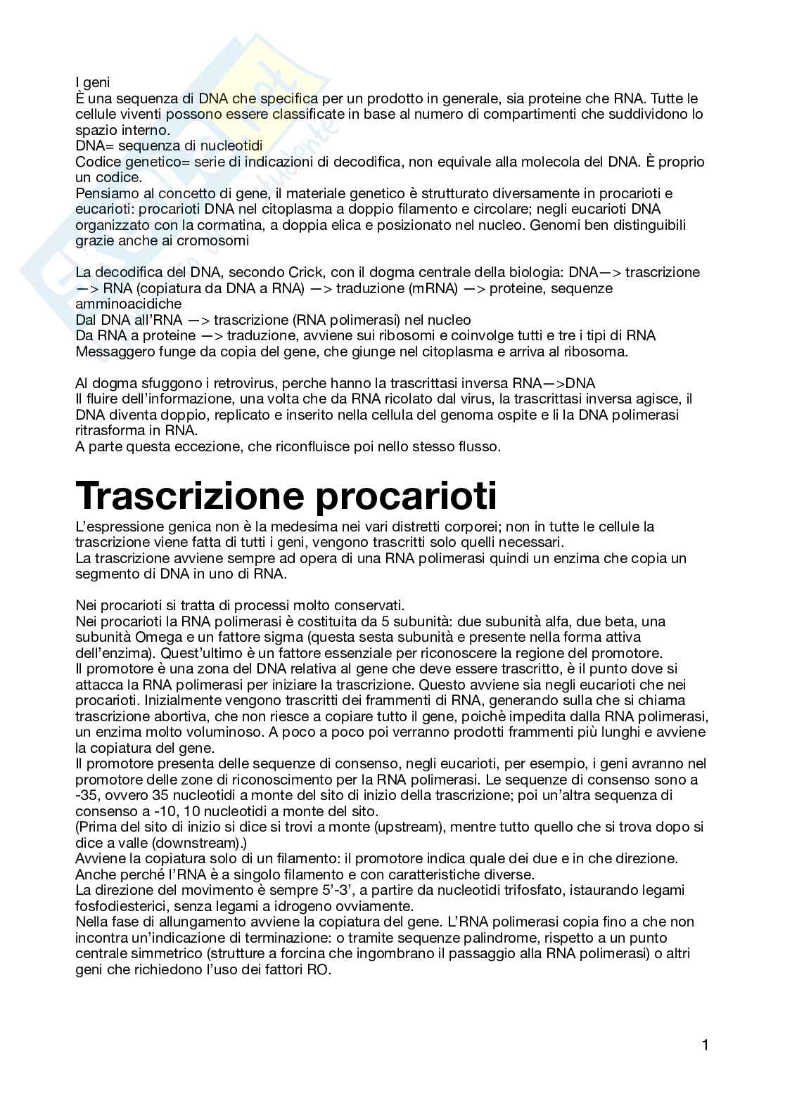 Biologia - semestre filtro, parte 2 Pag. 1