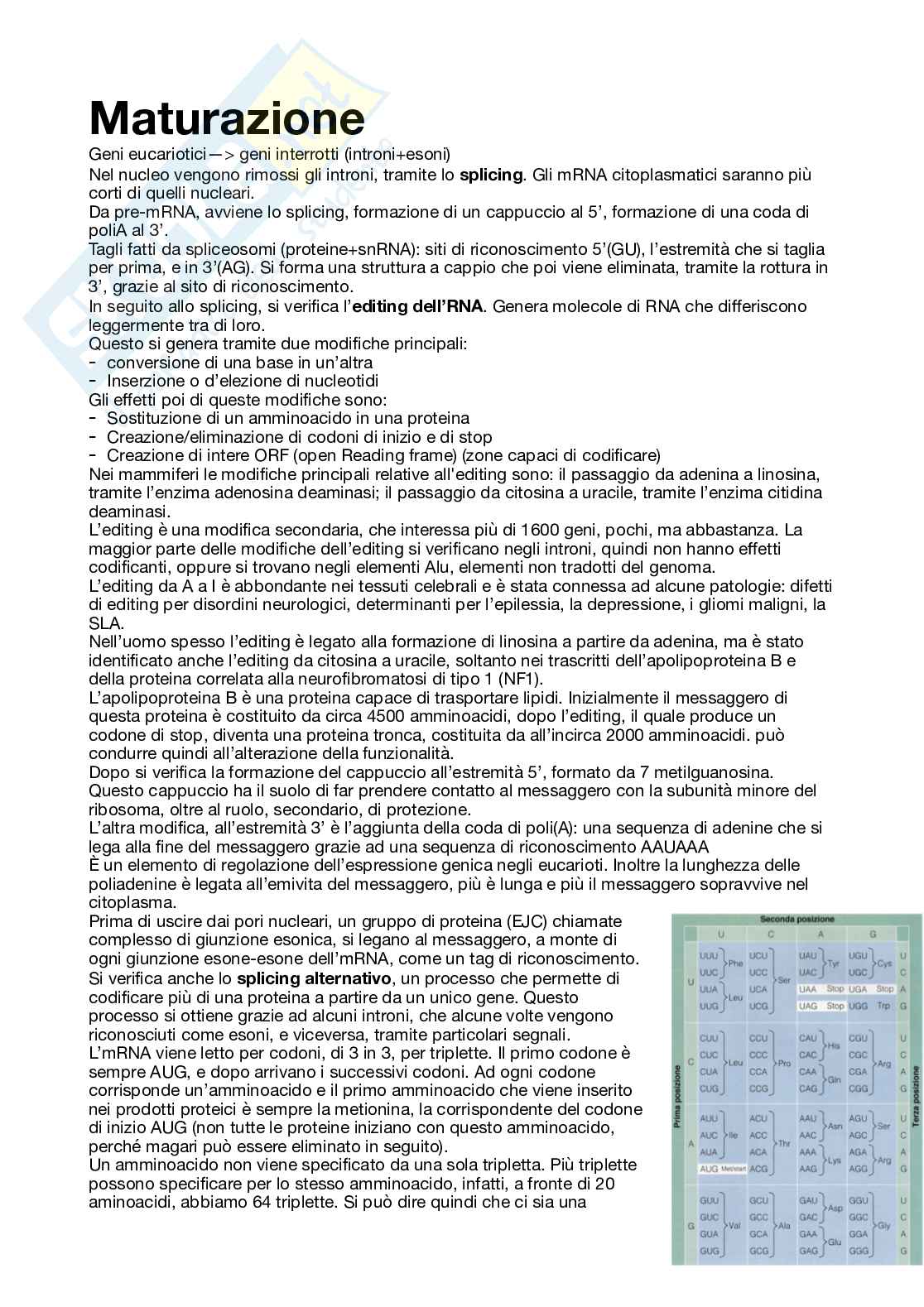 Biologia - semestre filtro, parte 2 Pag. 2
