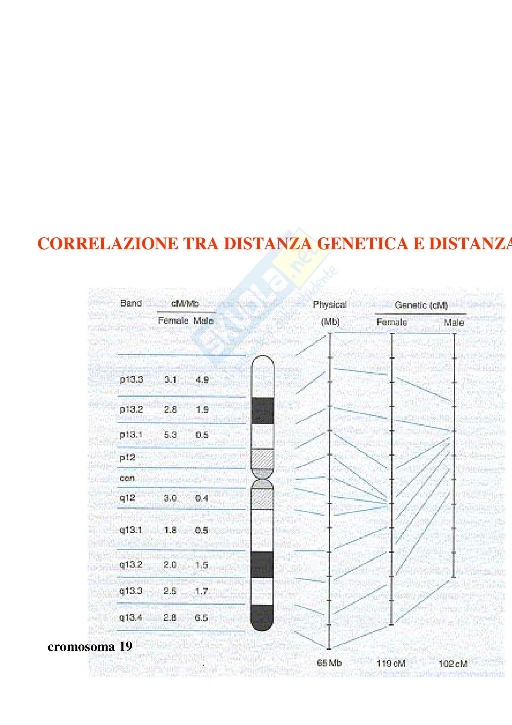 Basi biologiche e genetica umana - trasmissione dei caratteri Pag. 71