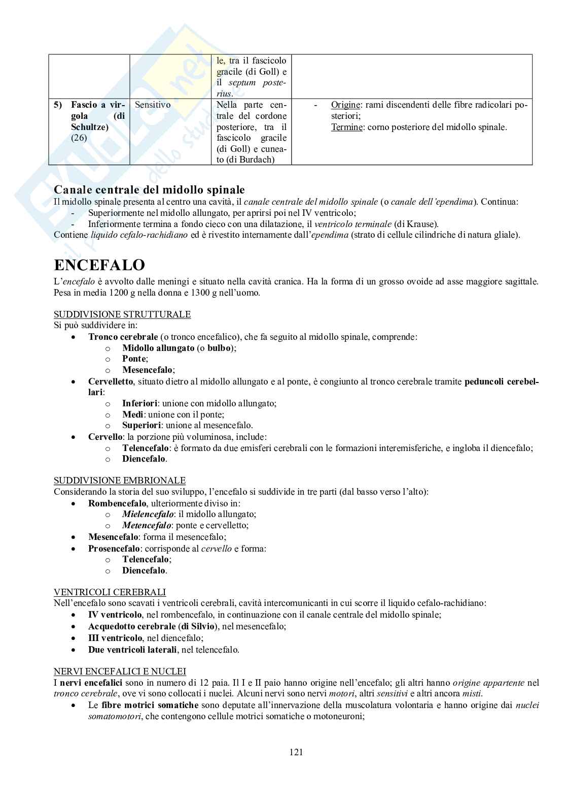 Appunti di Anatomia umana II - Neuroanatomia e organi di senso Pag. 16