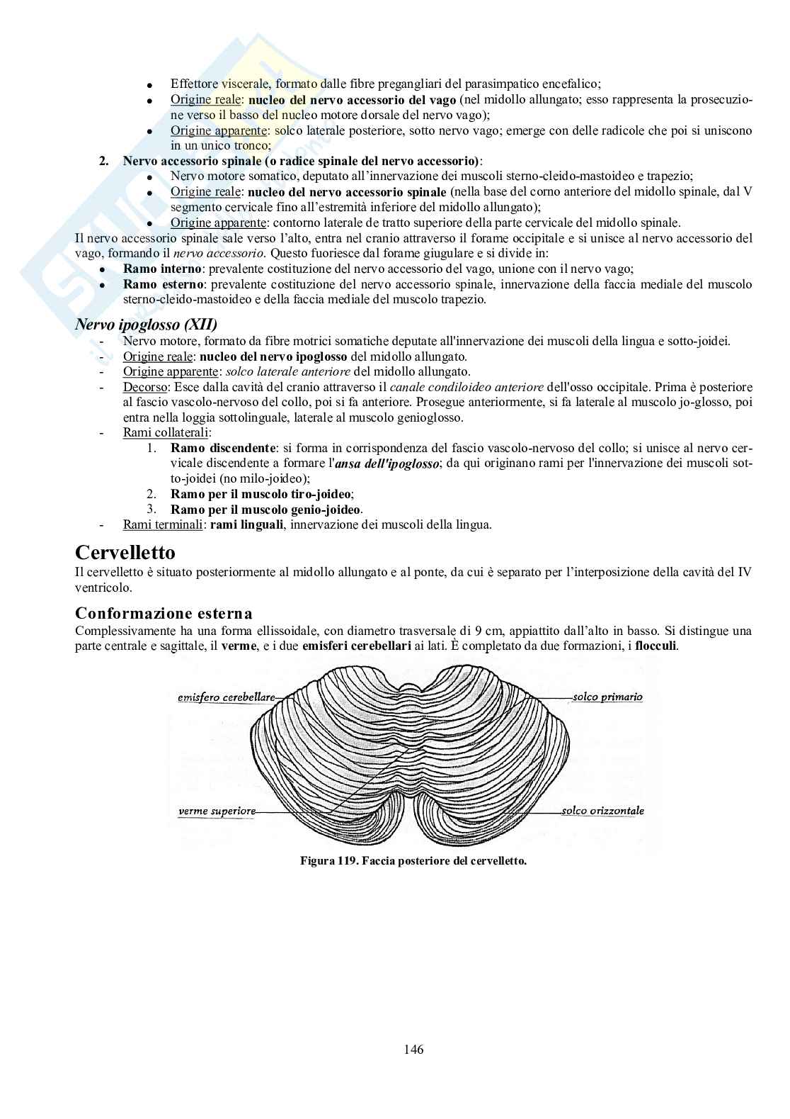 Appunti di Anatomia umana II - Neuroanatomia e organi di senso Pag. 41