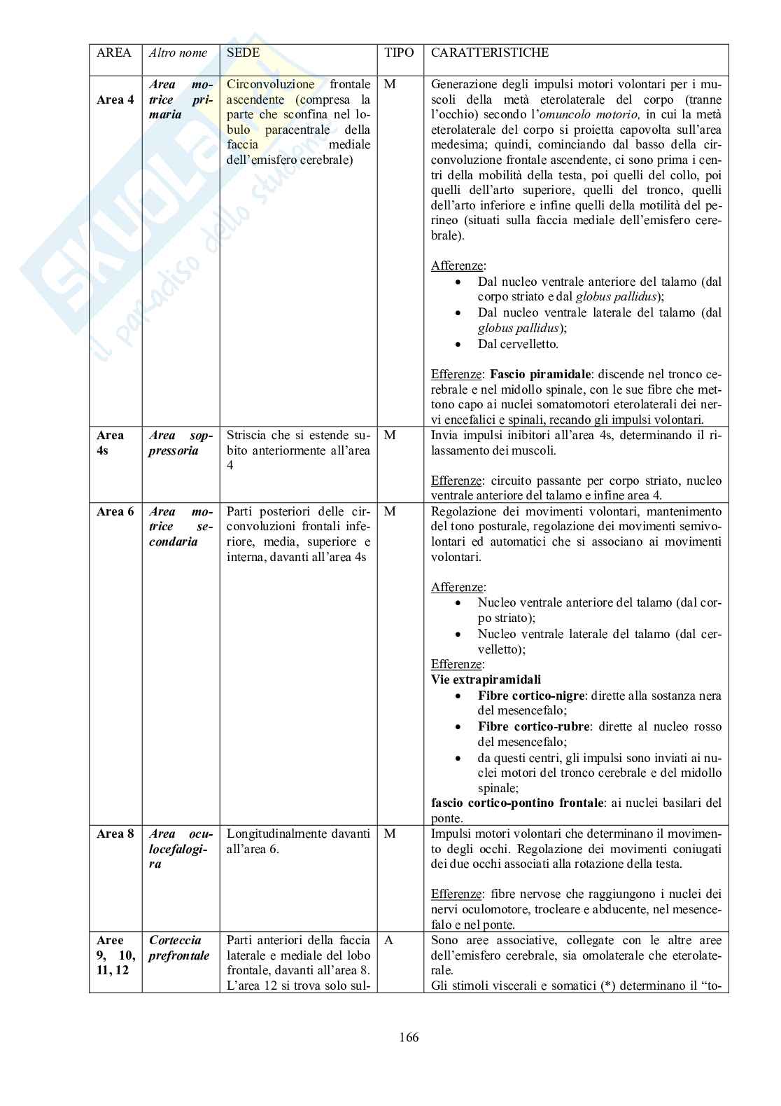 Appunti di Anatomia umana II - Neuroanatomia e organi di senso Pag. 61