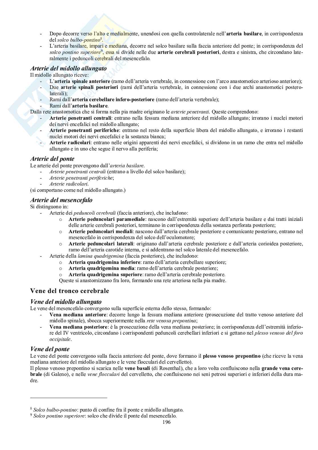 Appunti di Anatomia umana II - Neuroanatomia e organi di senso Pag. 91
