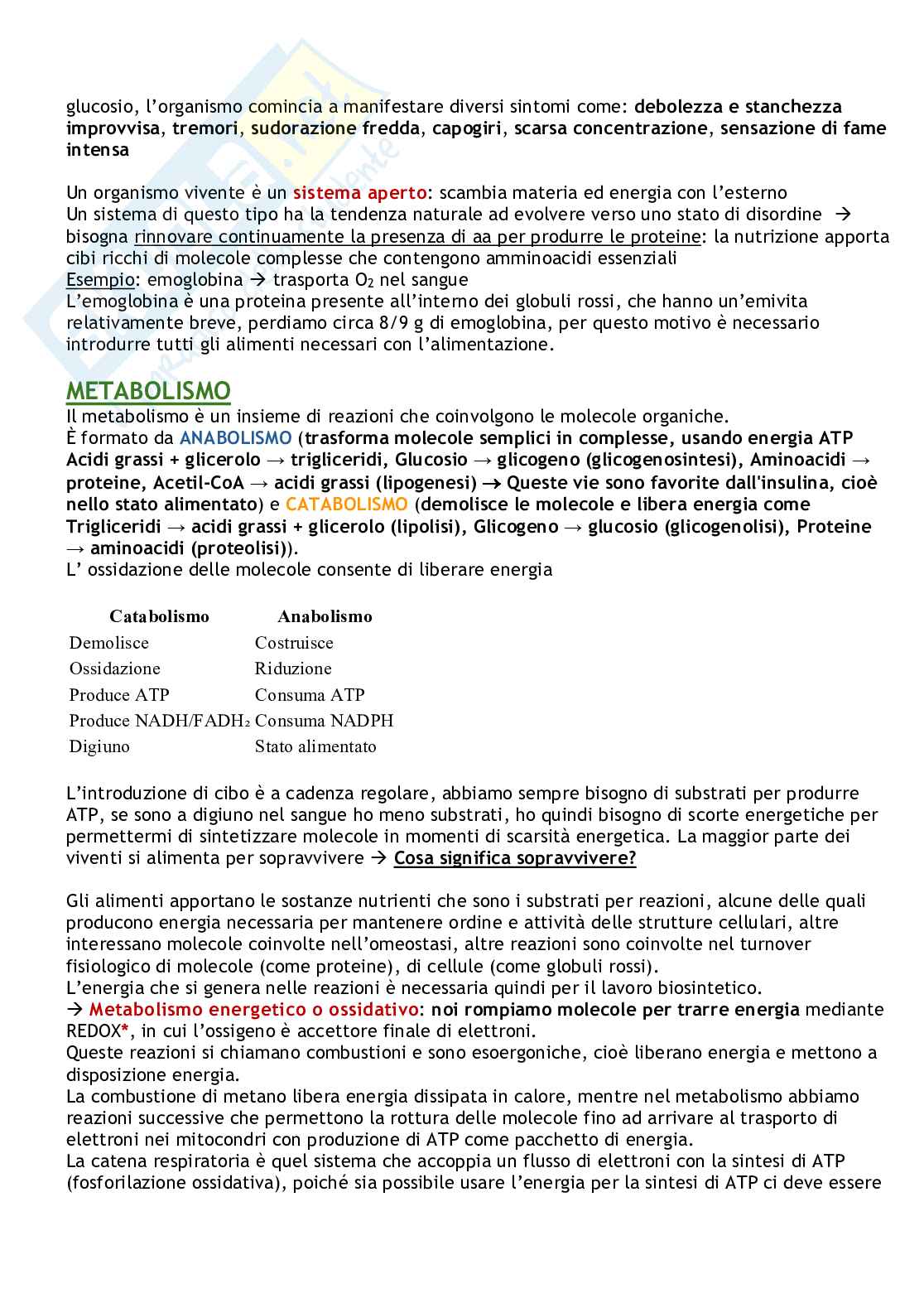 Biochimica delle malattie metaboliche Pag. 2