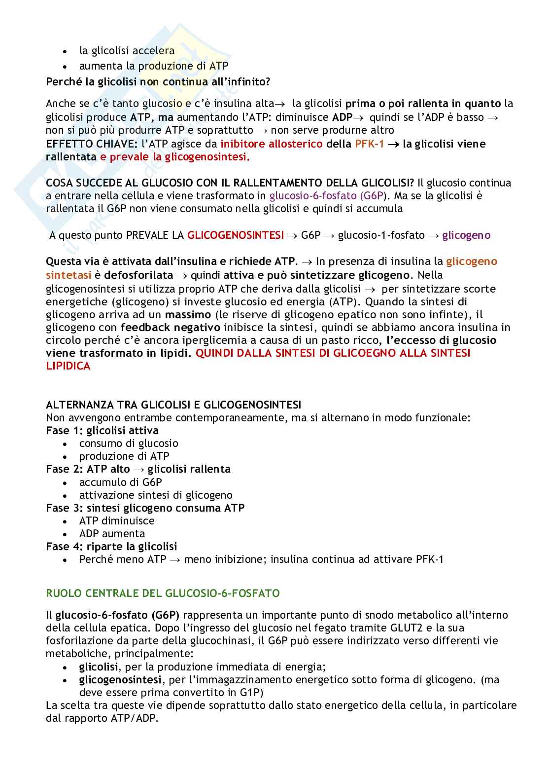 Biochimica delle malattie metaboliche Pag. 26