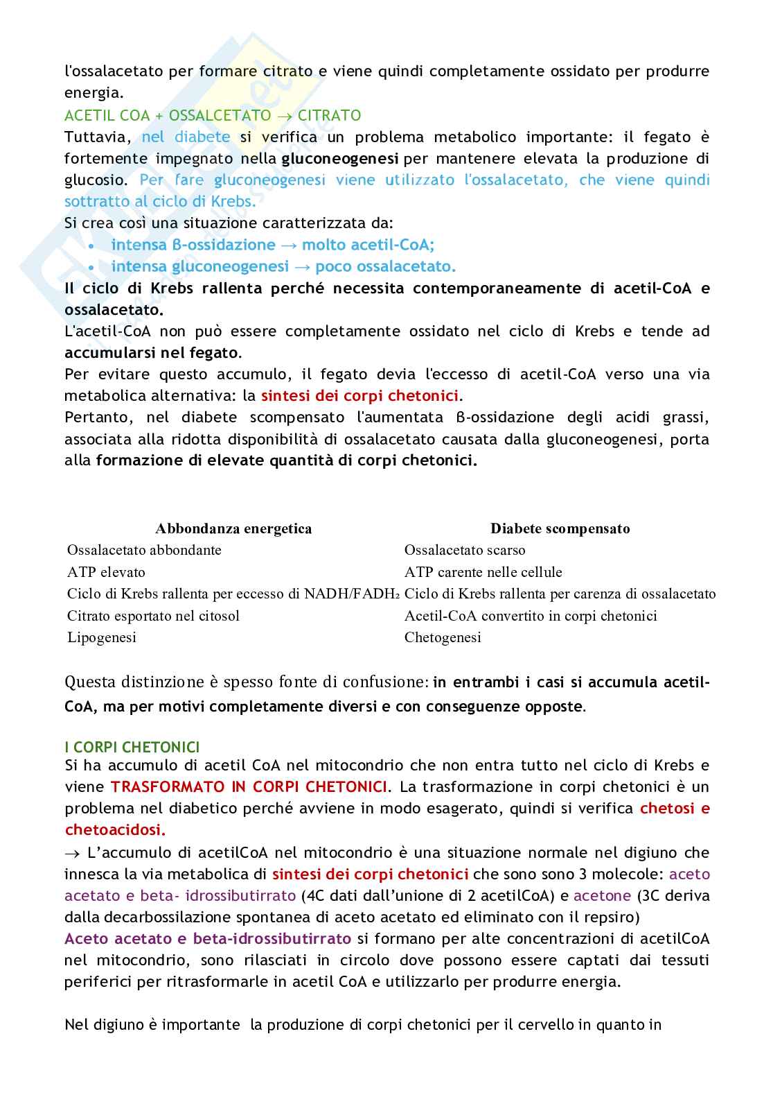 Biochimica delle malattie metaboliche Pag. 46