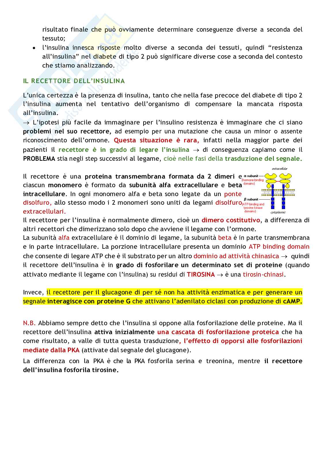 Biochimica delle malattie metaboliche Pag. 51