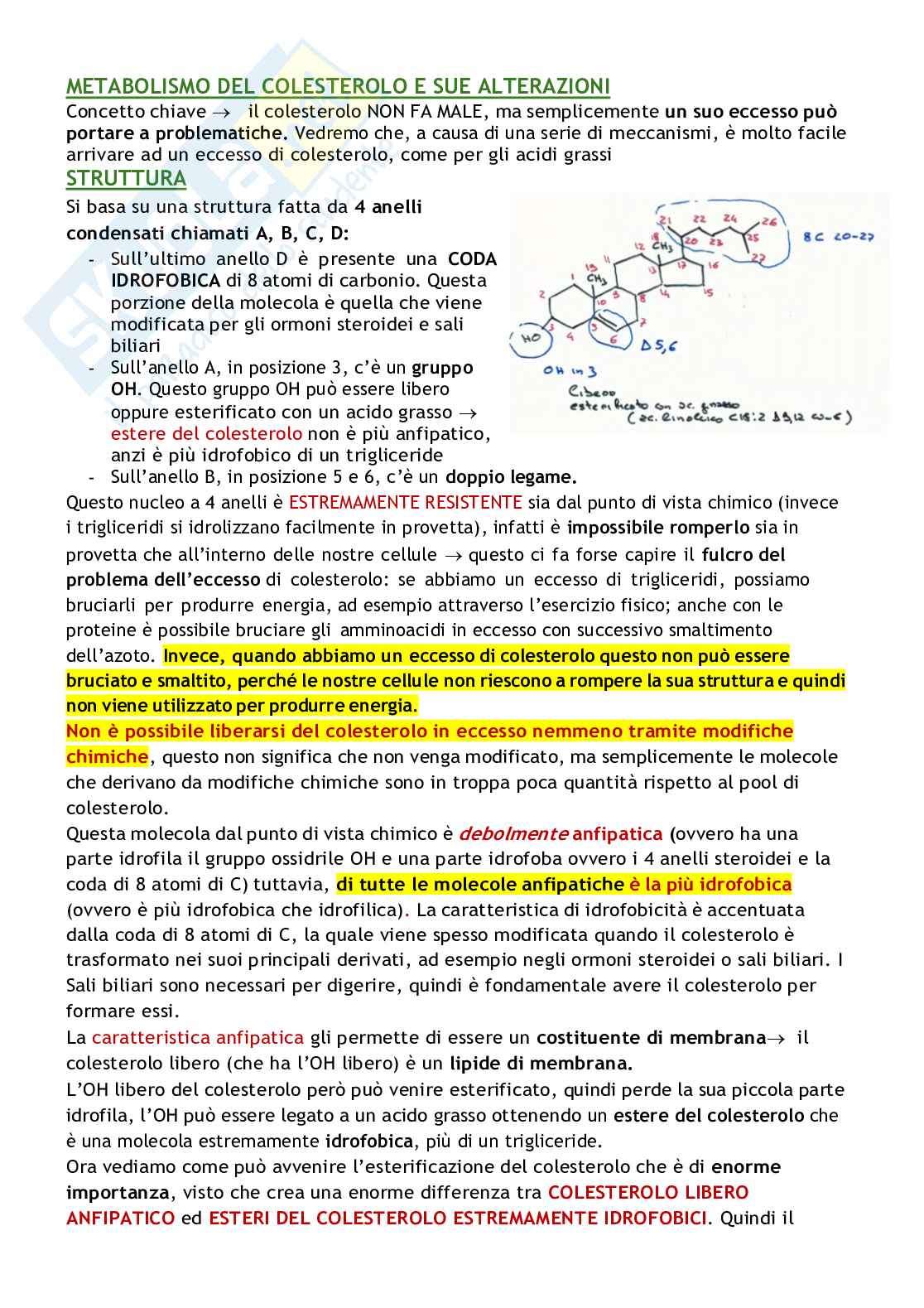 Biochimica delle malattie metaboliche Pag. 61