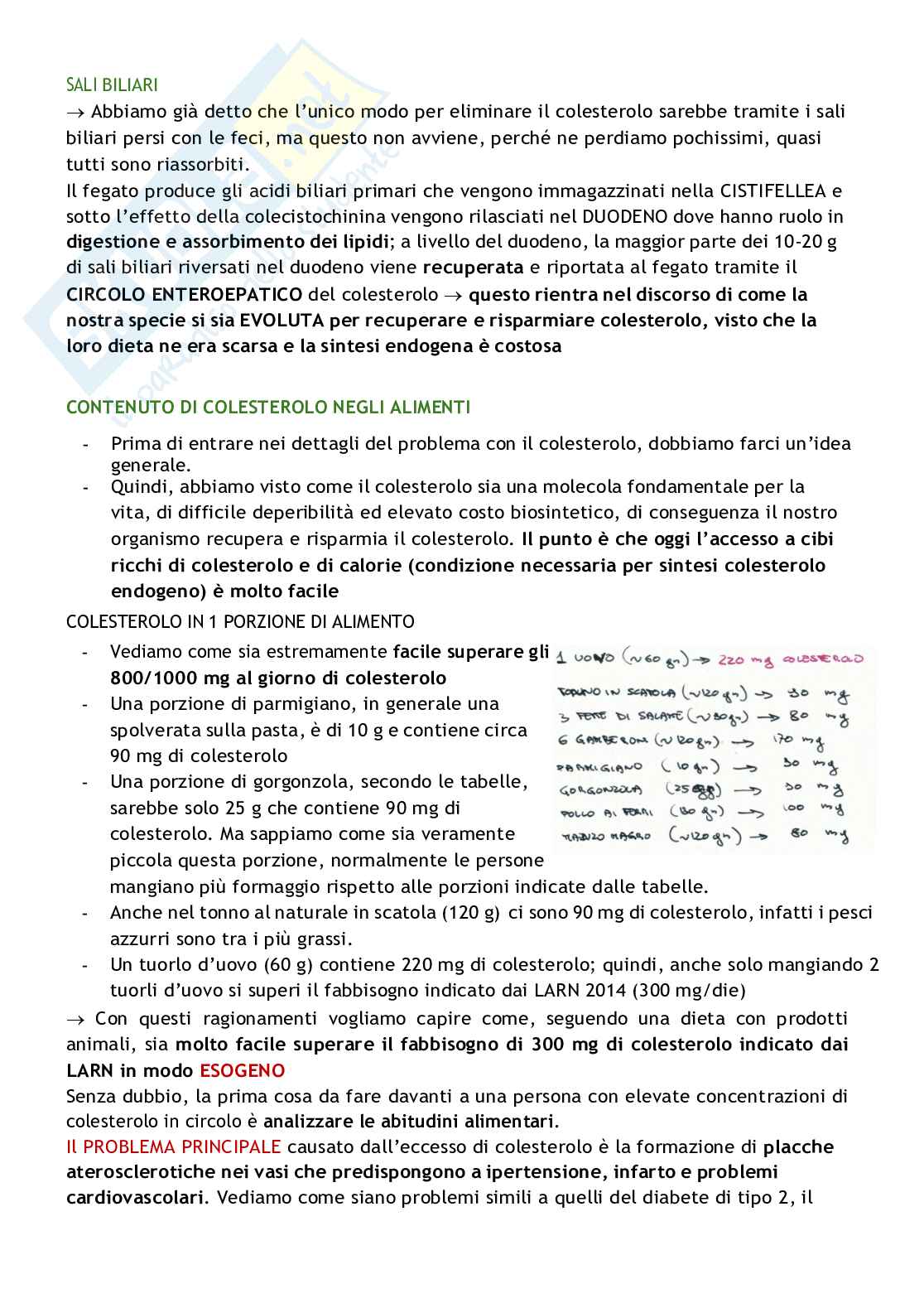 Biochimica delle malattie metaboliche Pag. 66