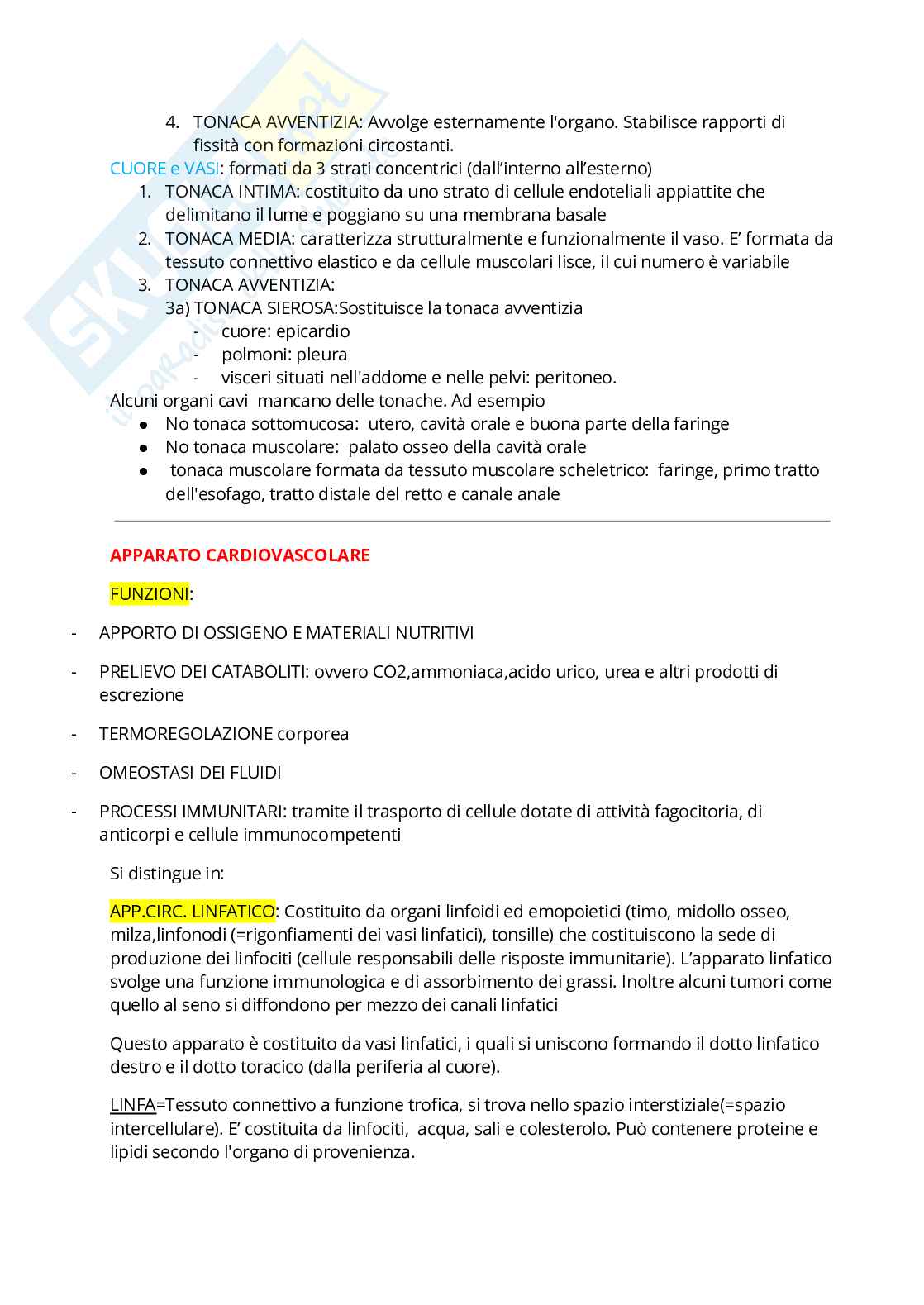 Anatomia umana Pag. 2