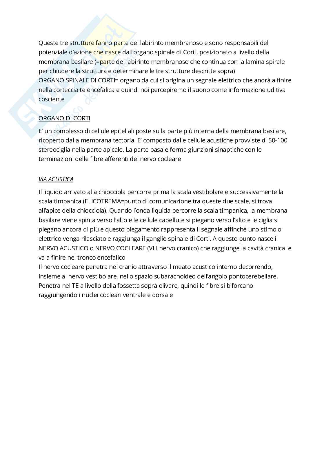 Anatomia umana Pag. 76