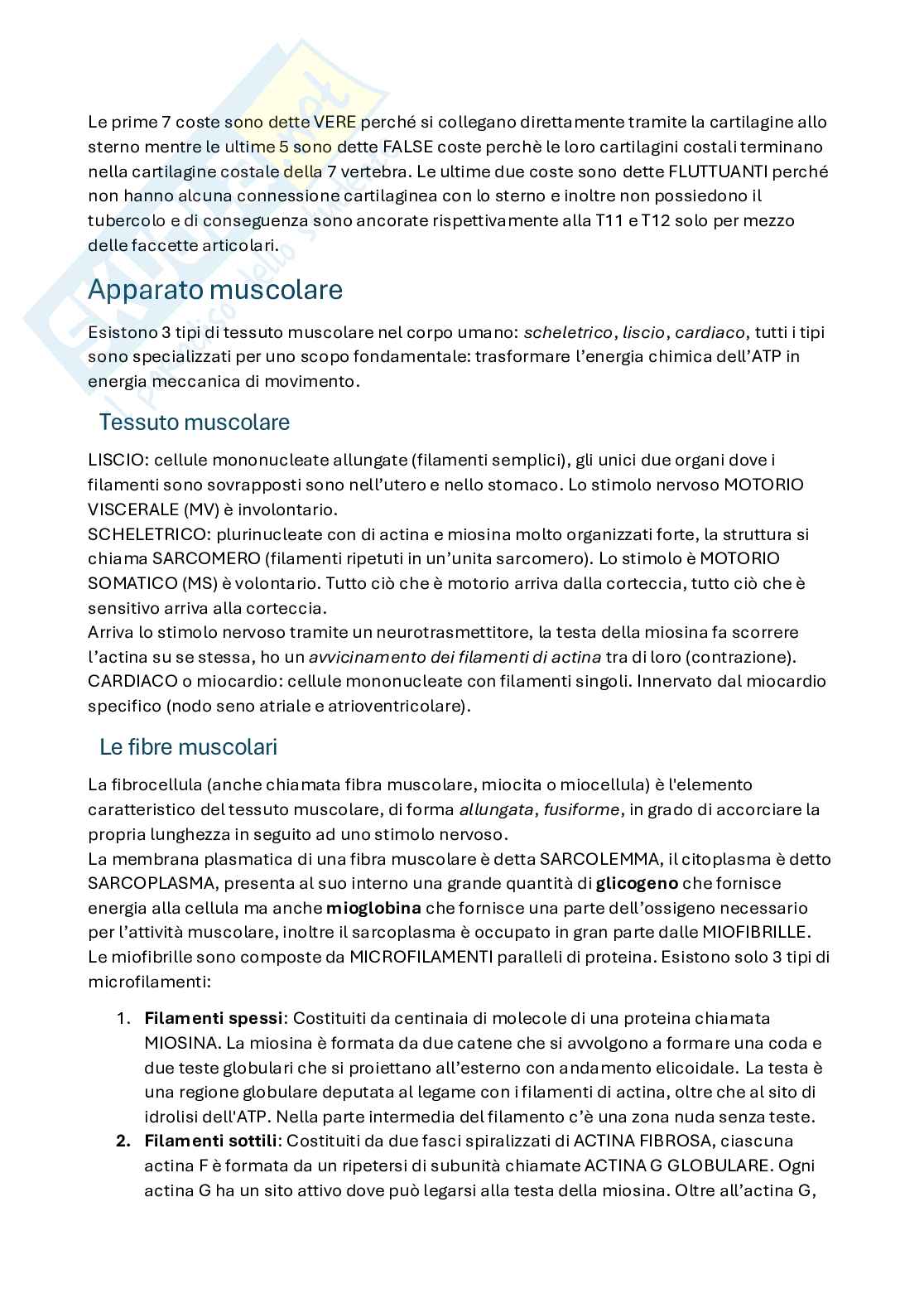Domande per esame Anatomia umana Pag. 51