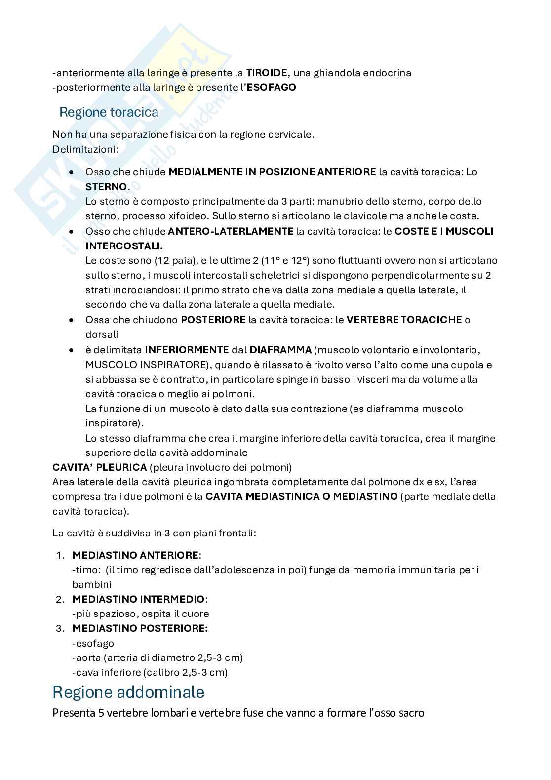 Domande per esame Anatomia umana Pag. 6