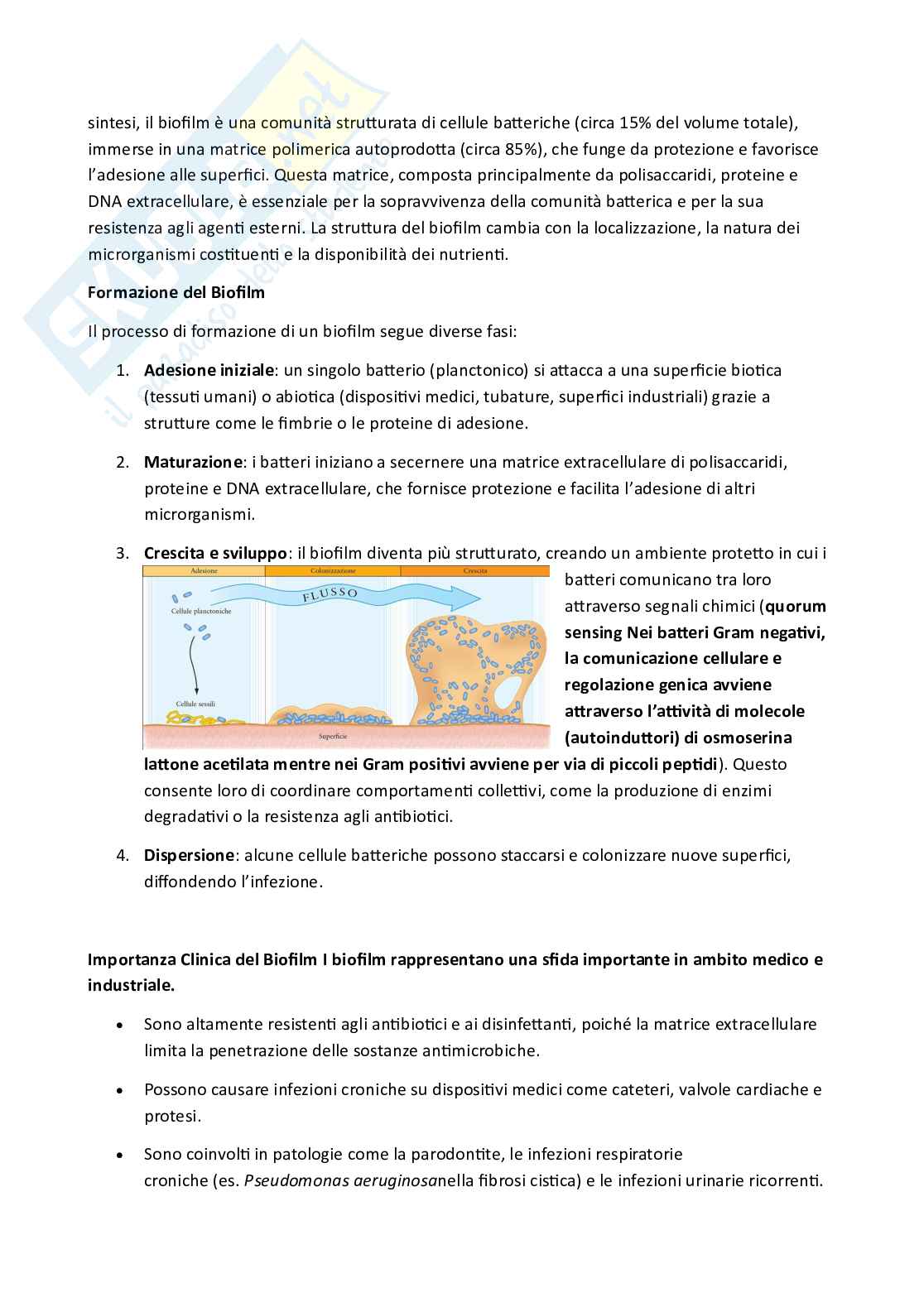 Microbiologia  Pag. 26