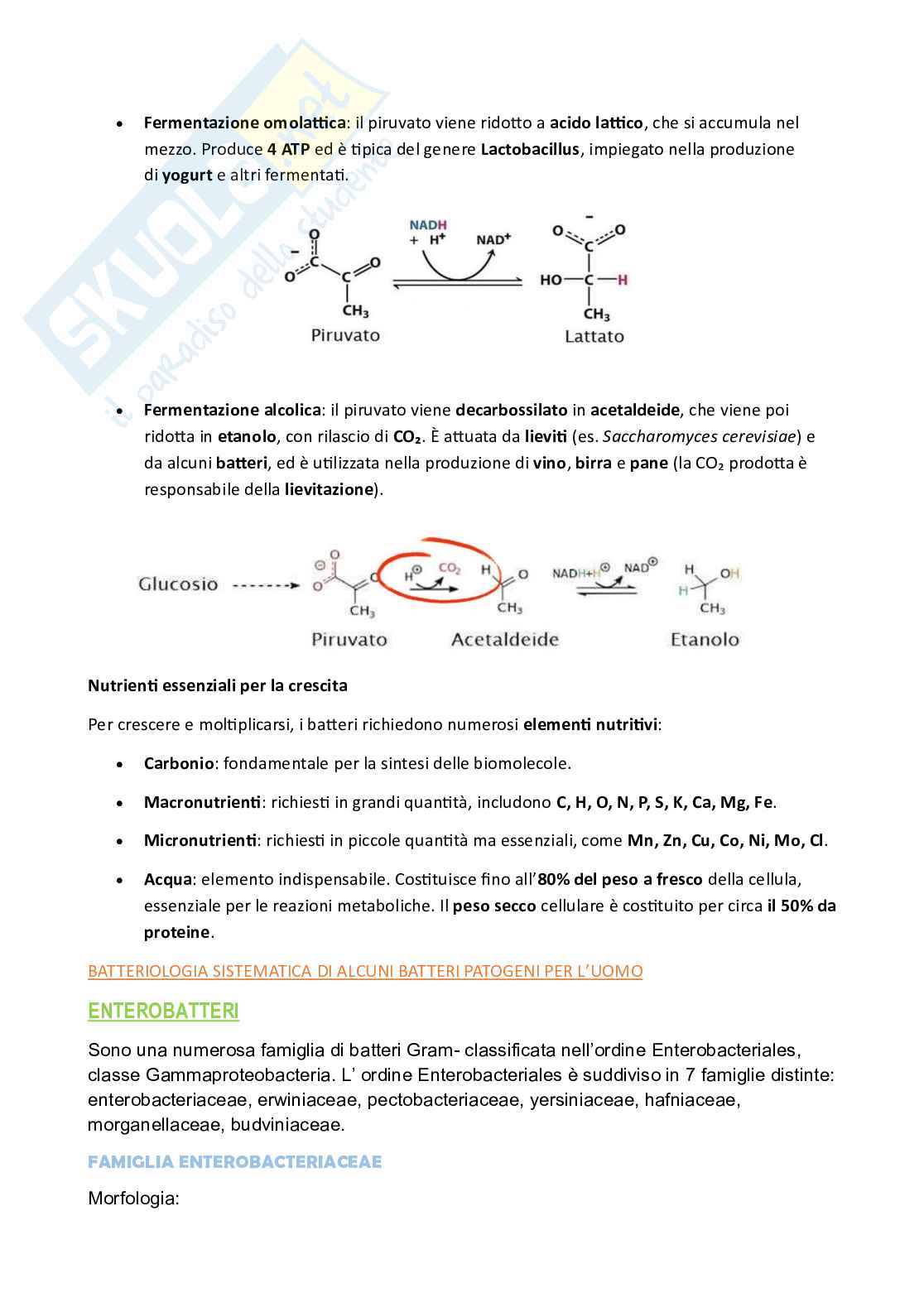 Microbiologia  Pag. 36