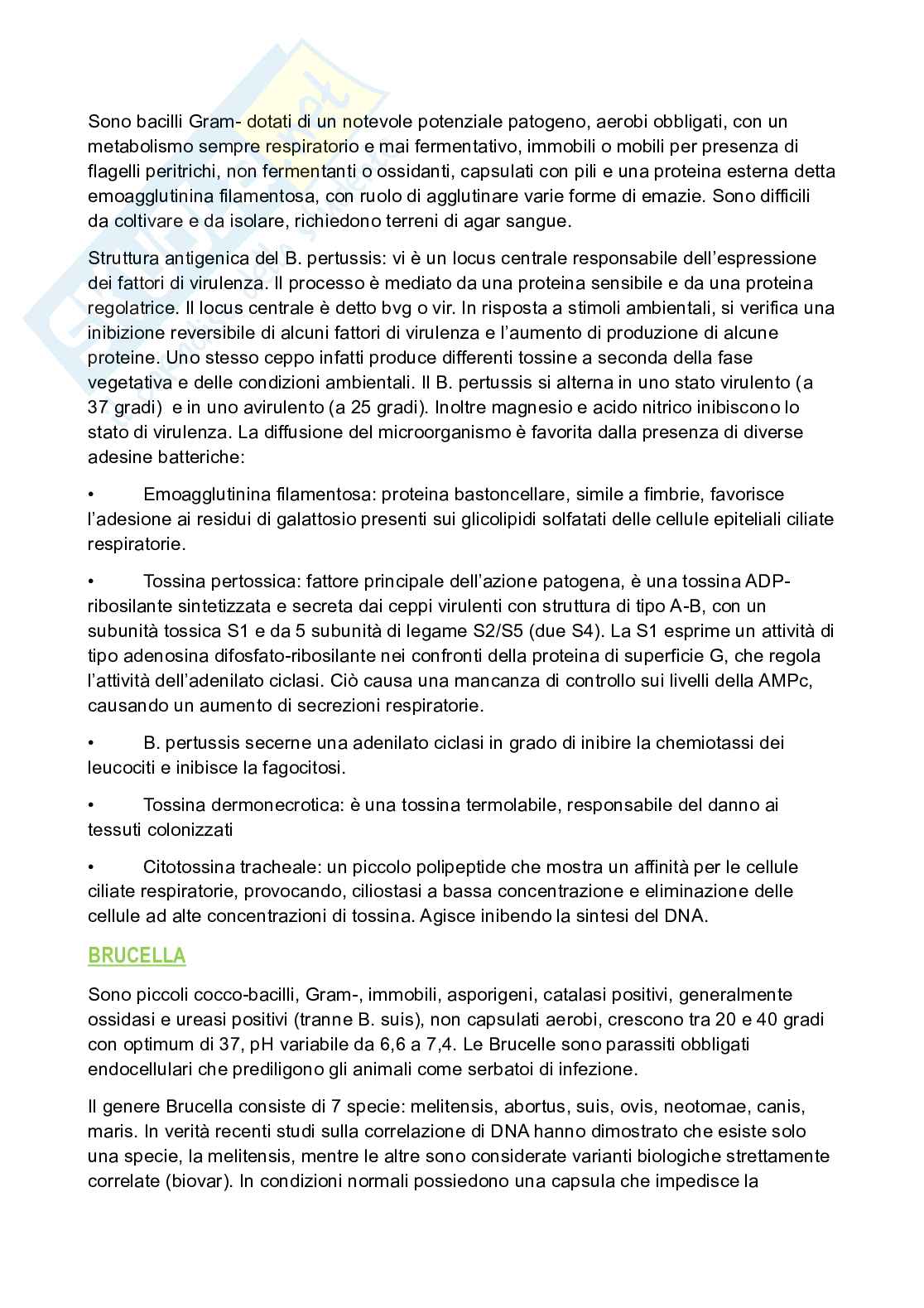 Microbiologia  Pag. 41