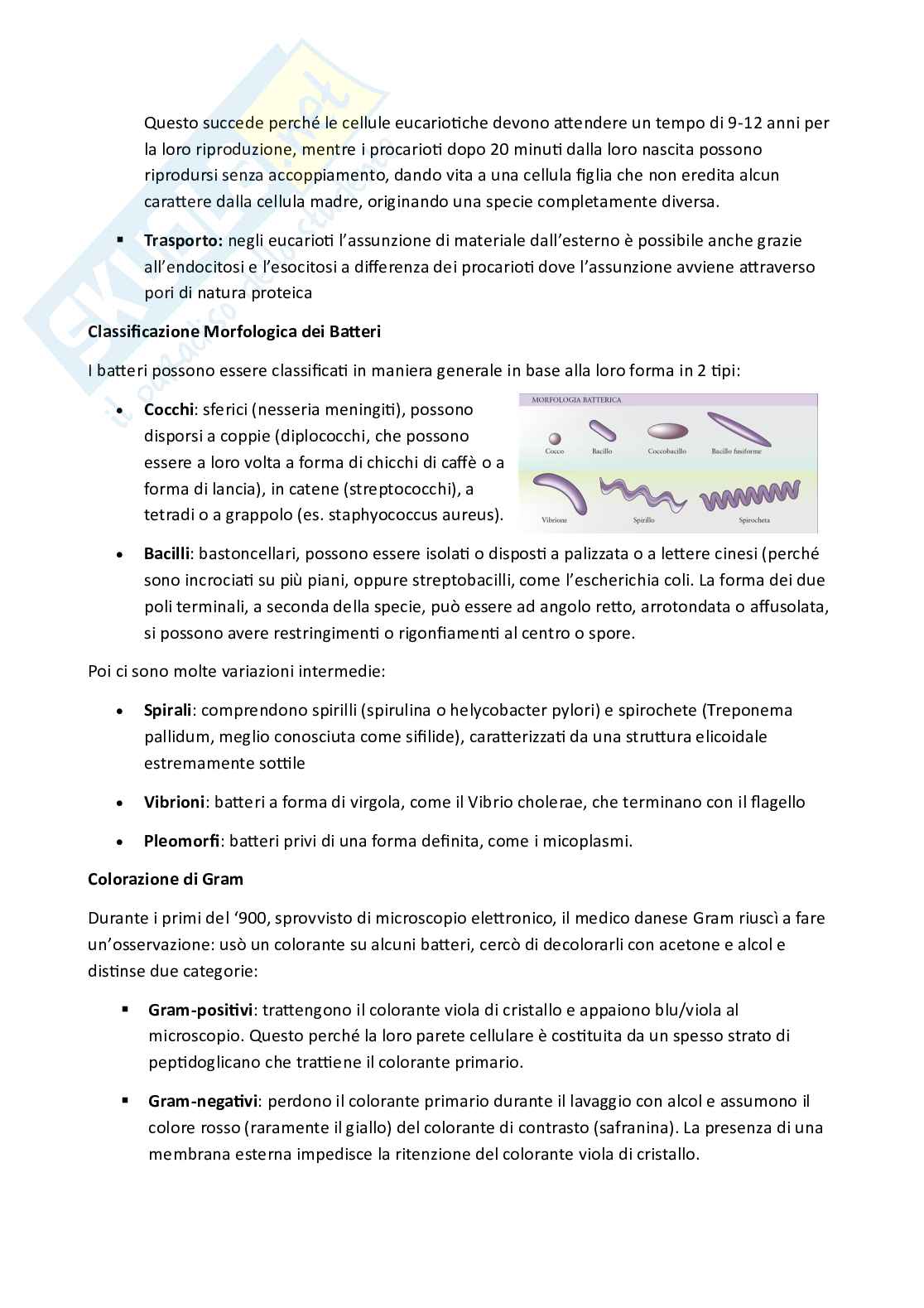 Microbiologia  Pag. 6