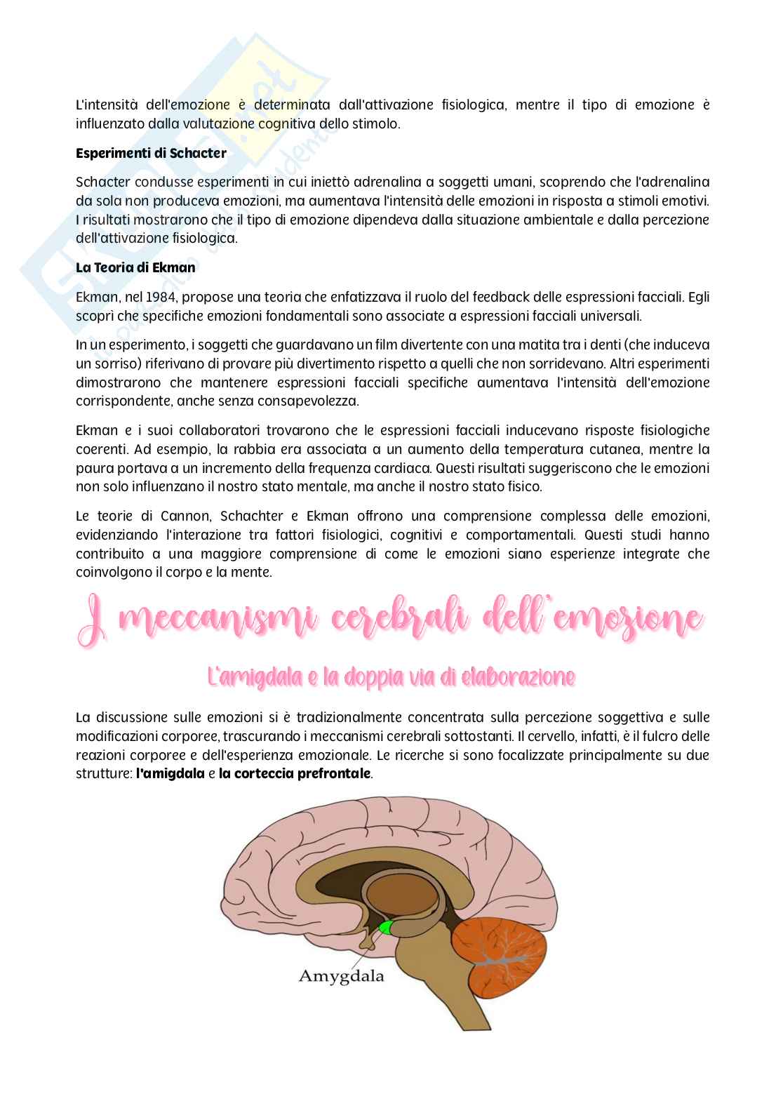 Psicologia dei processi - parte III Pag. 26