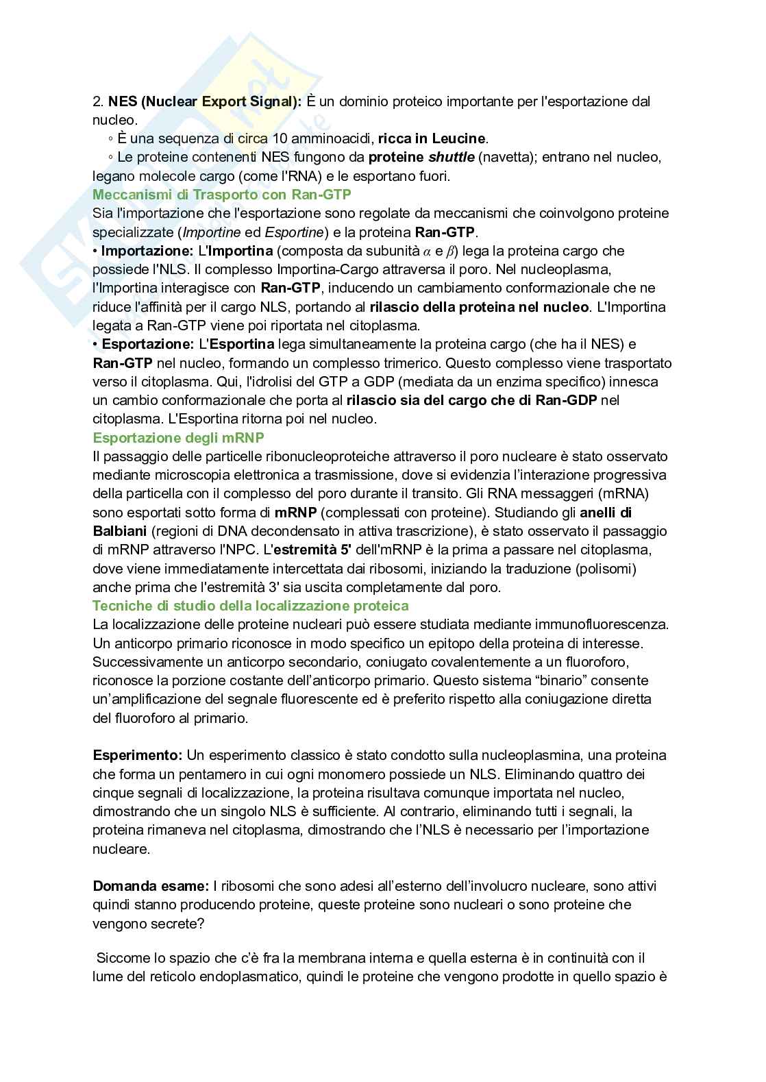 Appunti esame di Citologia e istologia Pag. 46