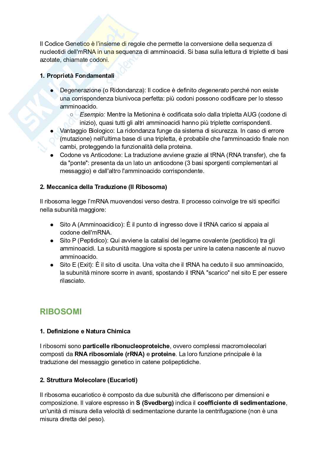 Appunti esame di Citologia e istologia Pag. 6
