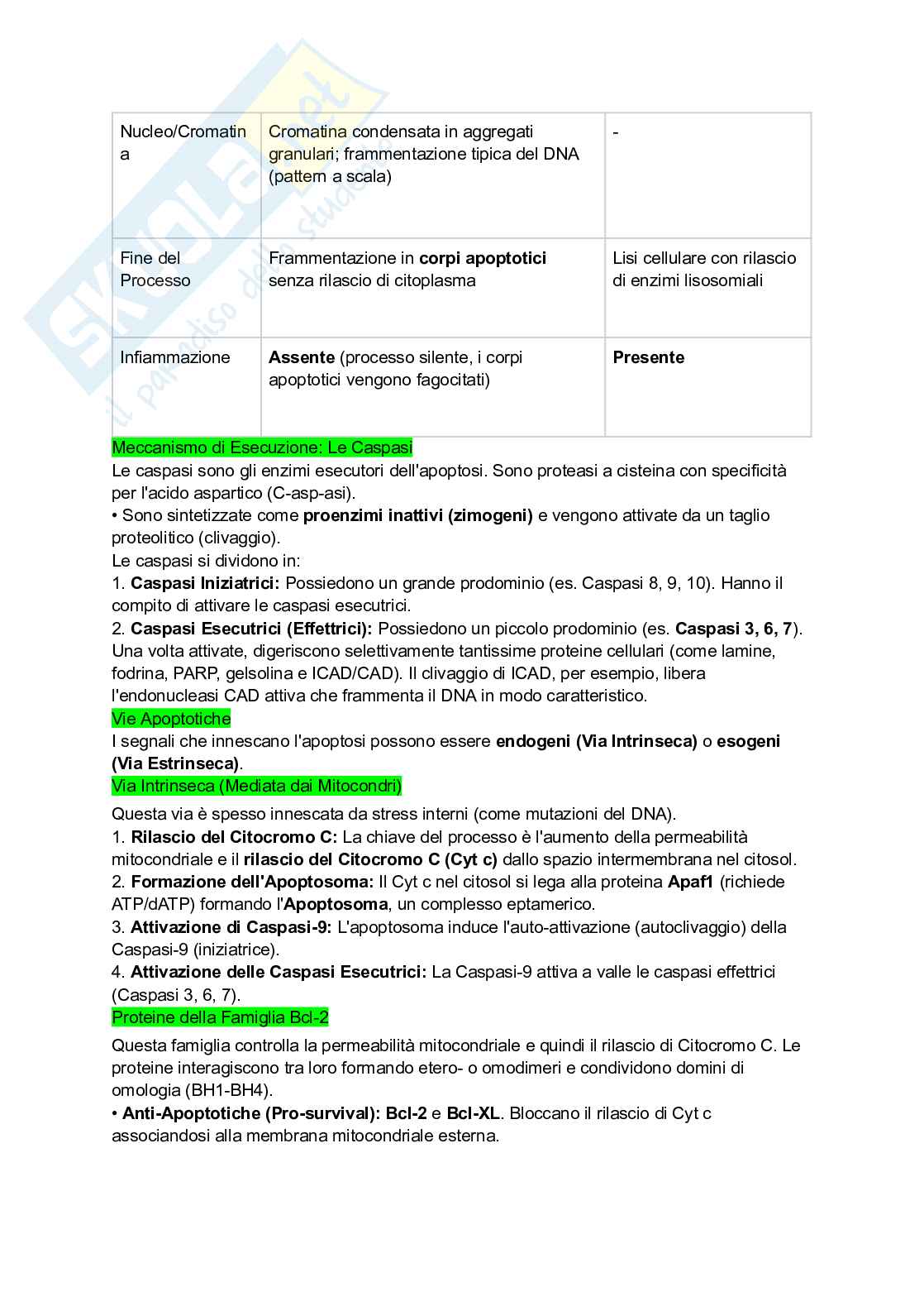 Appunti esame di Citologia e istologia Pag. 76