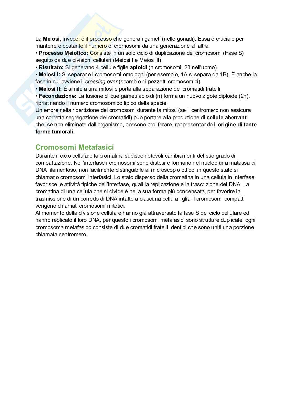 Appunti esame di Citologia e istologia Pag. 81