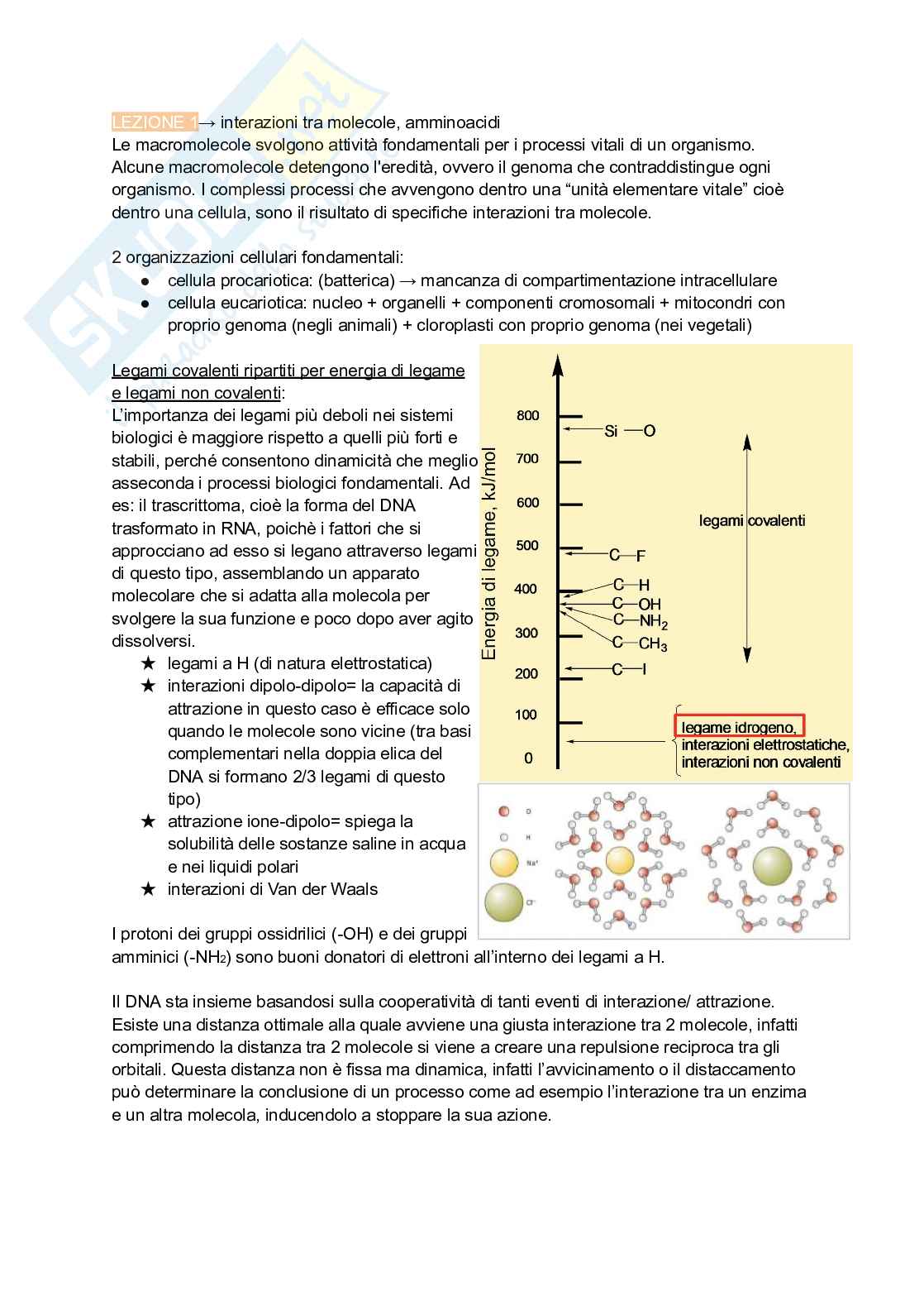 Appunti estesi di Biologia molecolare I Pag. 1