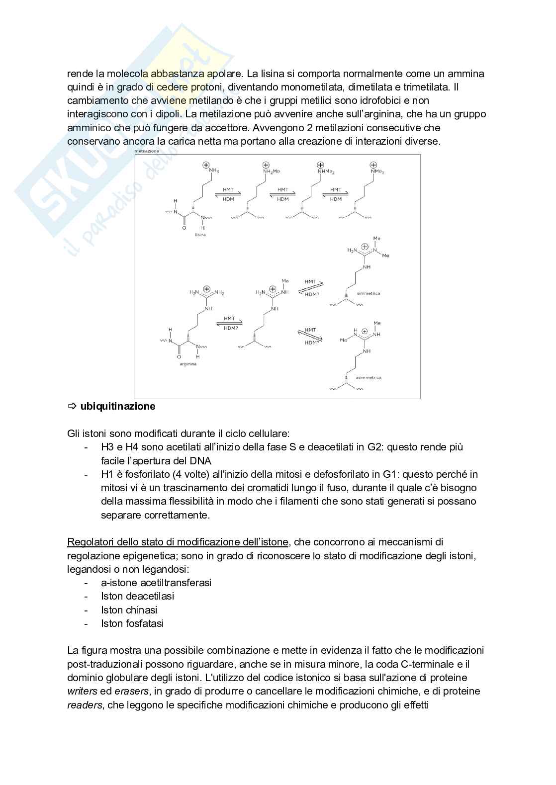 Appunti estesi di Biologia molecolare I Pag. 16