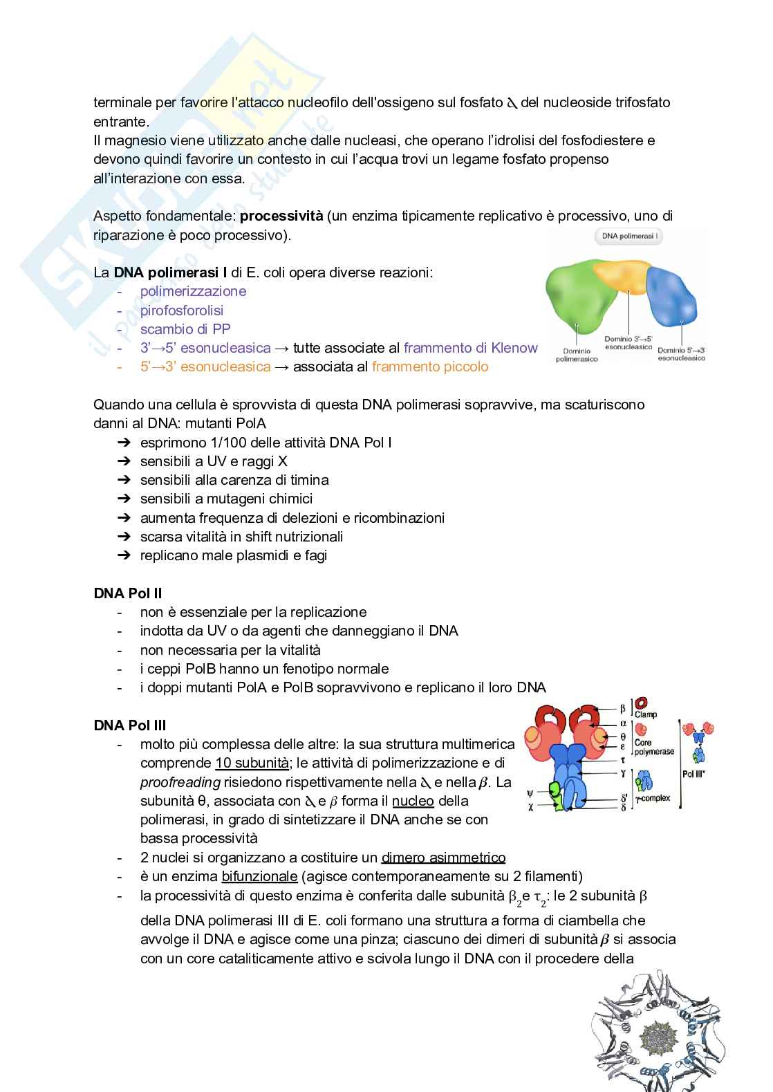 Appunti estesi di Biologia molecolare I Pag. 21
