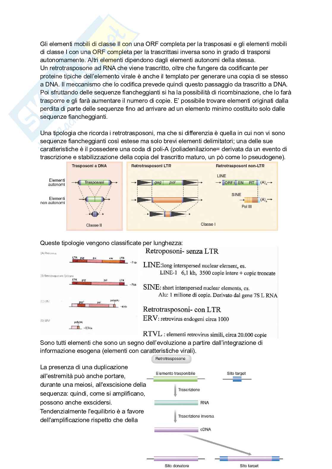 Appunti estesi di Biologia molecolare I Pag. 31