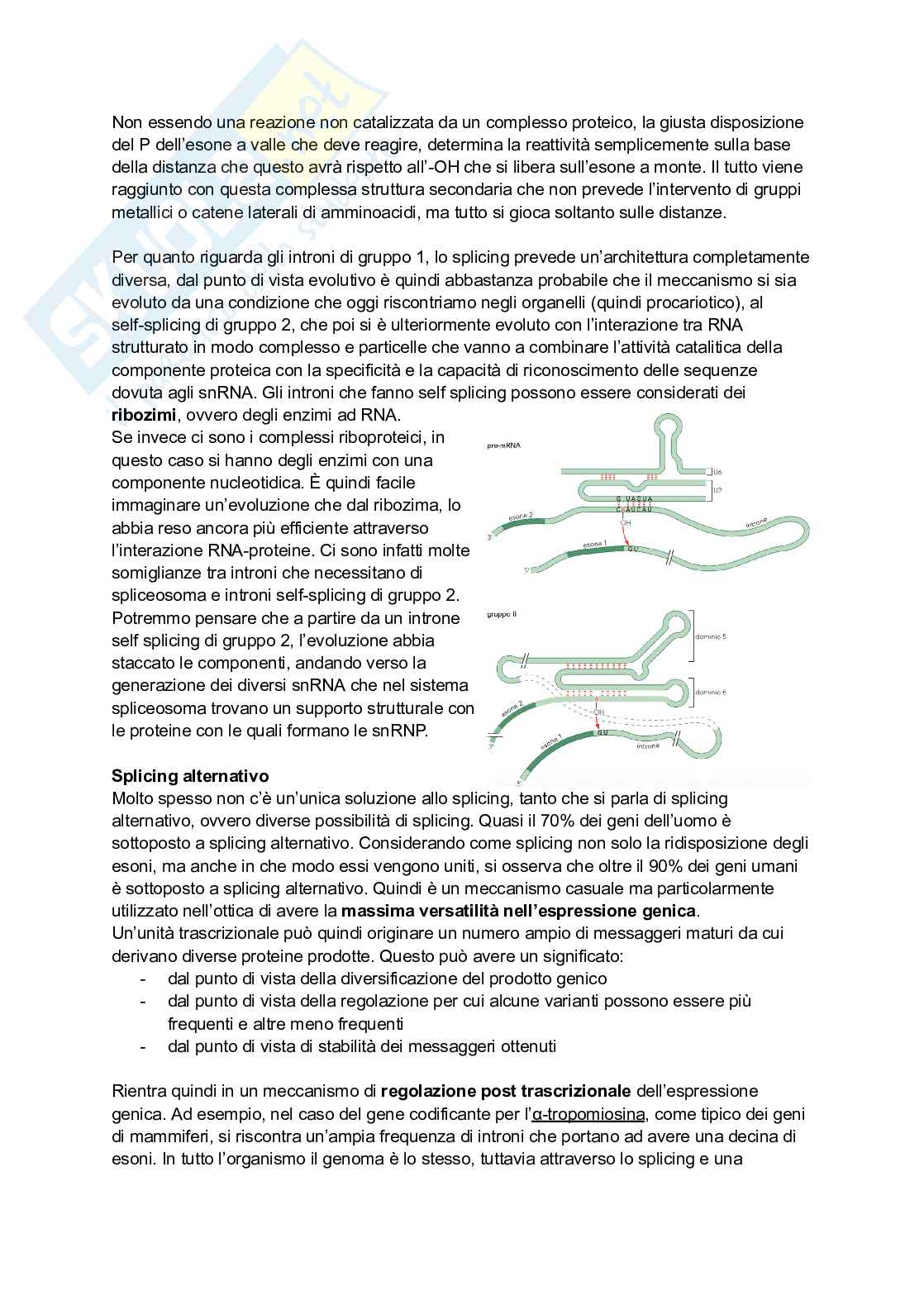 Appunti estesi di Biologia molecolare I Pag. 76