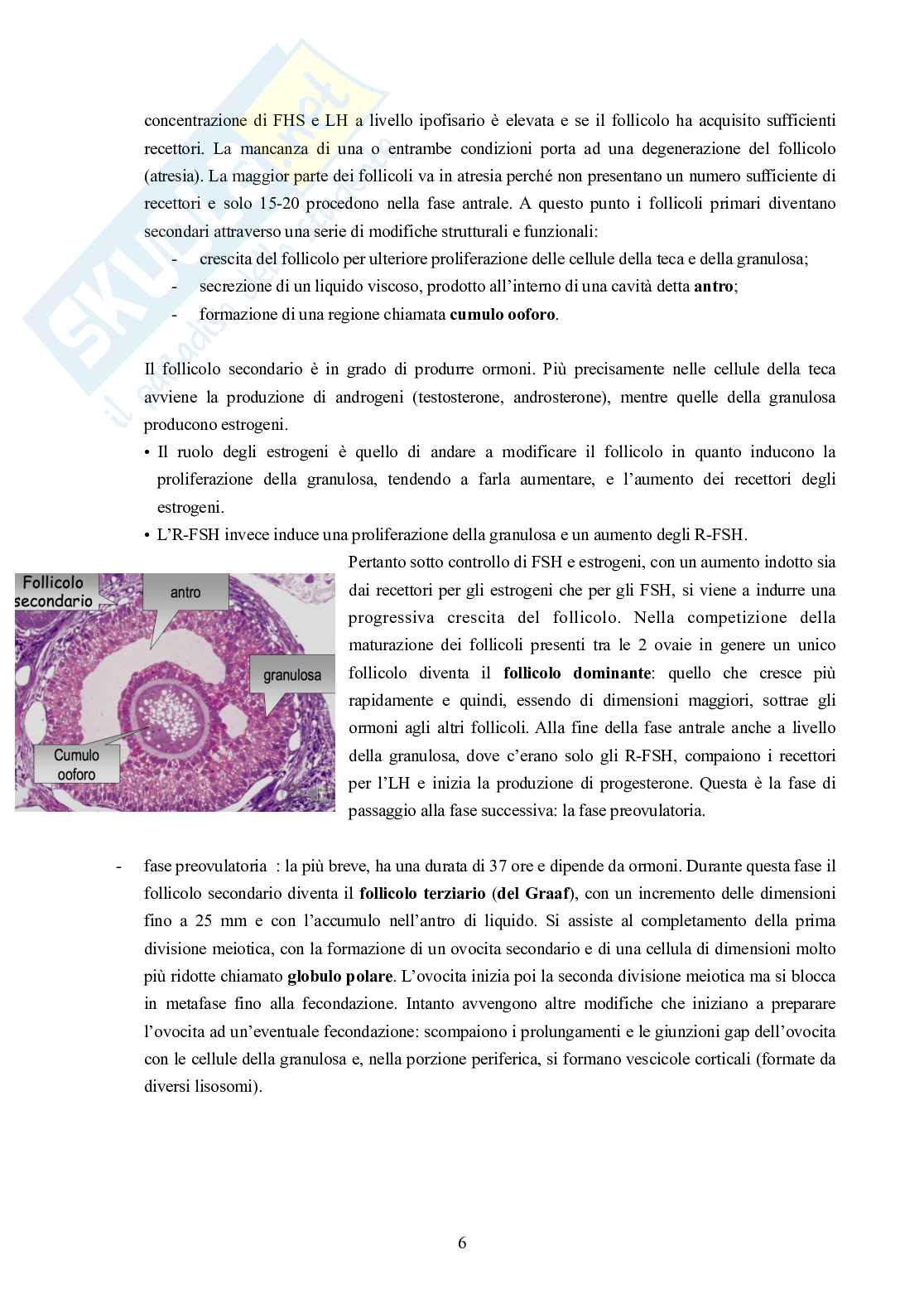 Embriologia Pag. 6