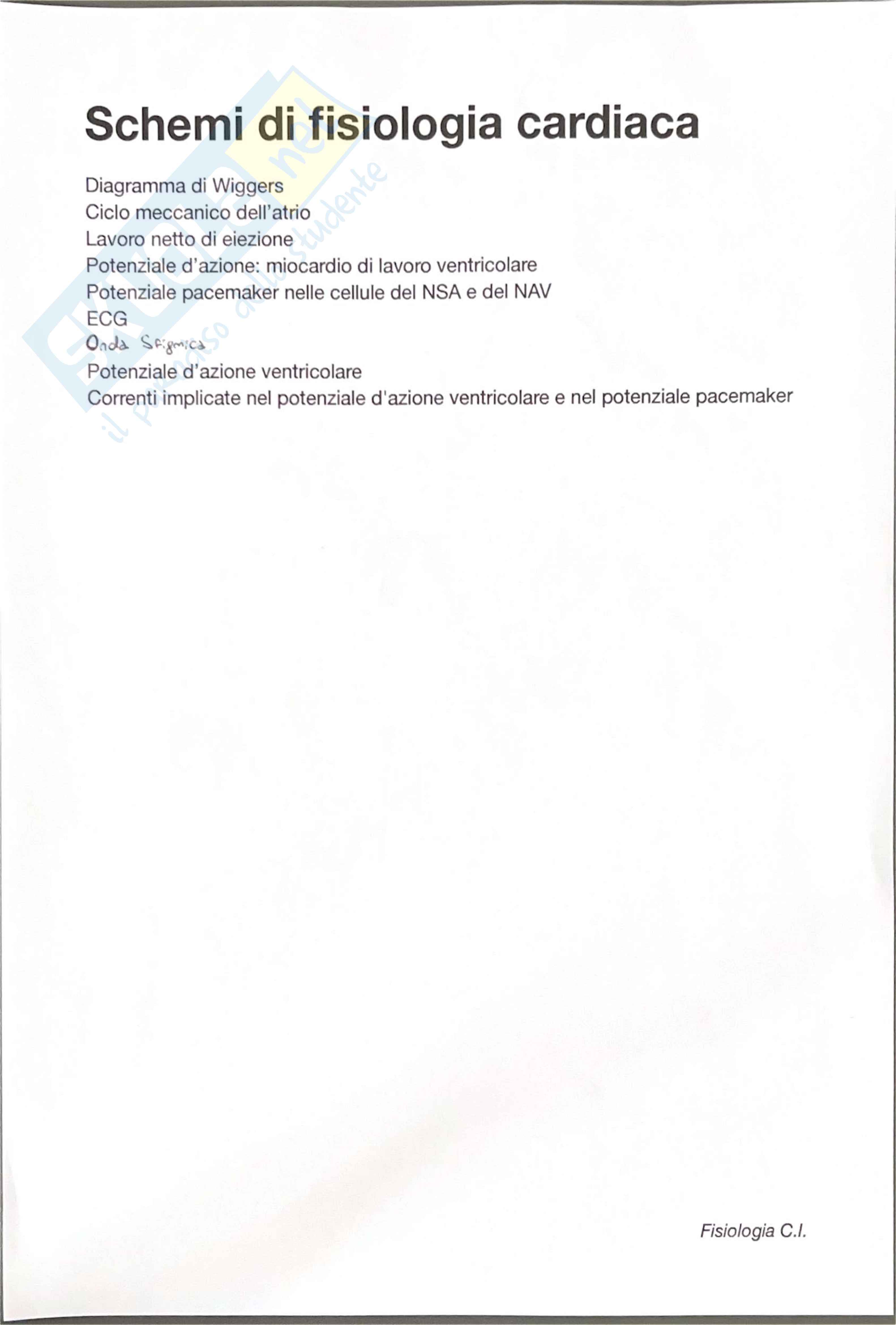 Fisiologia 3 Pag. 1