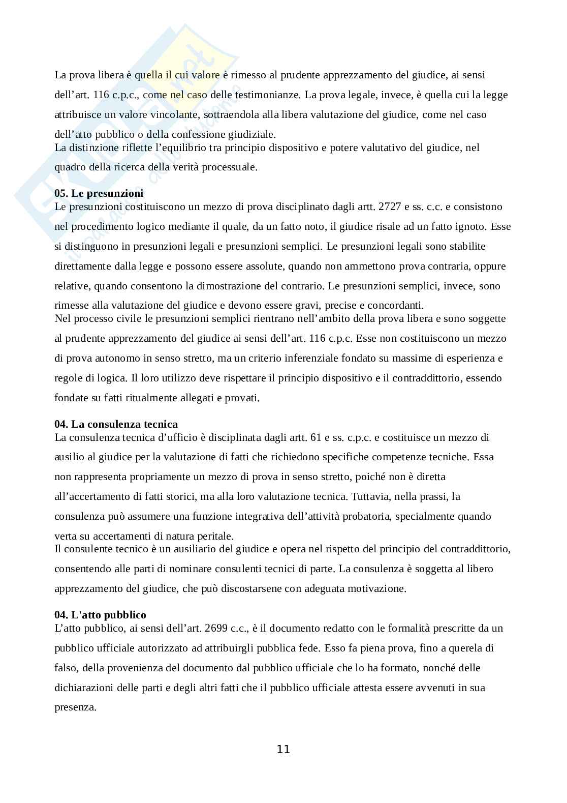 Diritto processuale civile Pag. 11