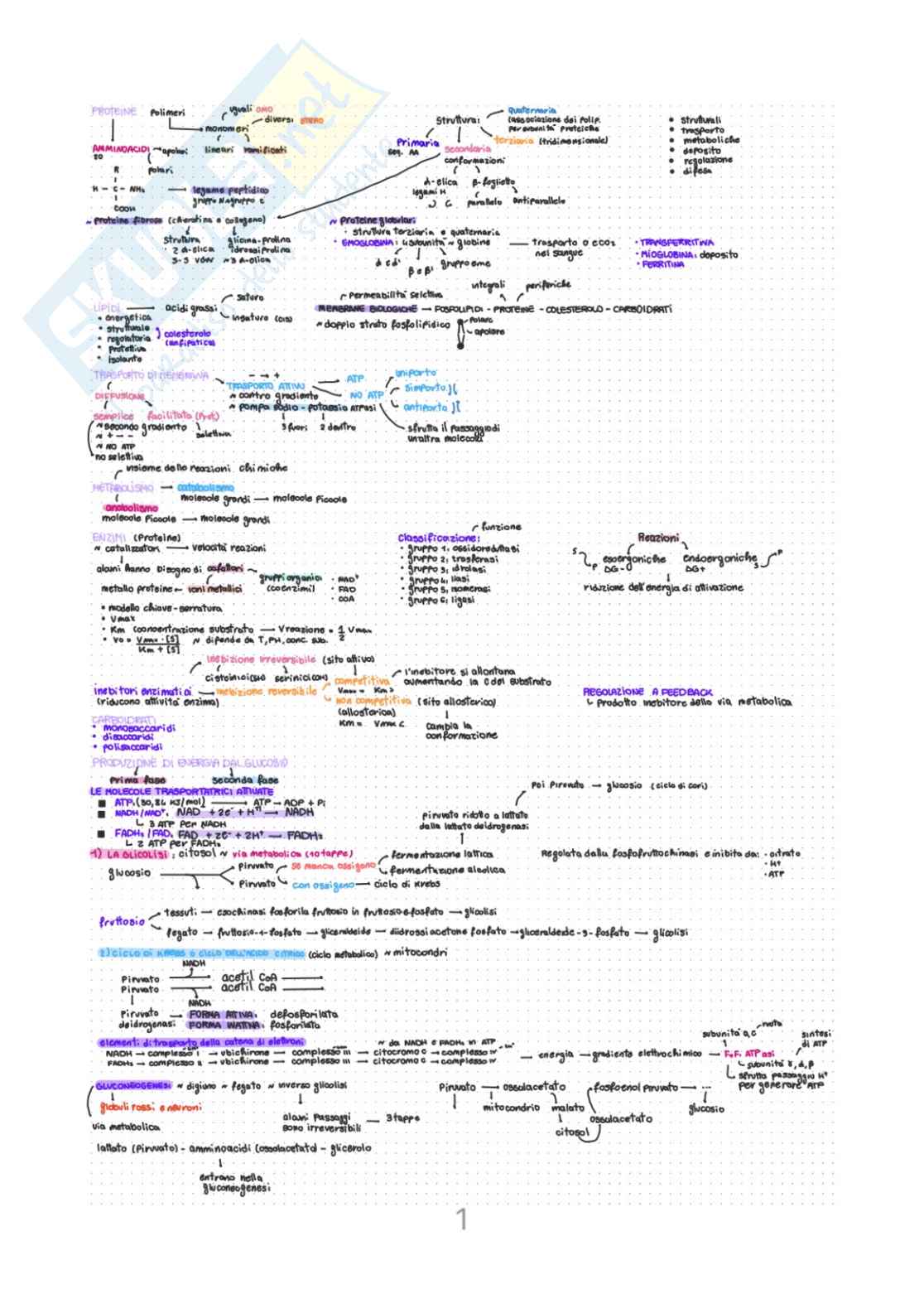 Biochimica Pag. 1