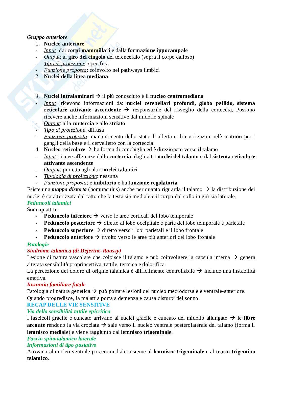 Anatomia II - prima parte Pag. 51