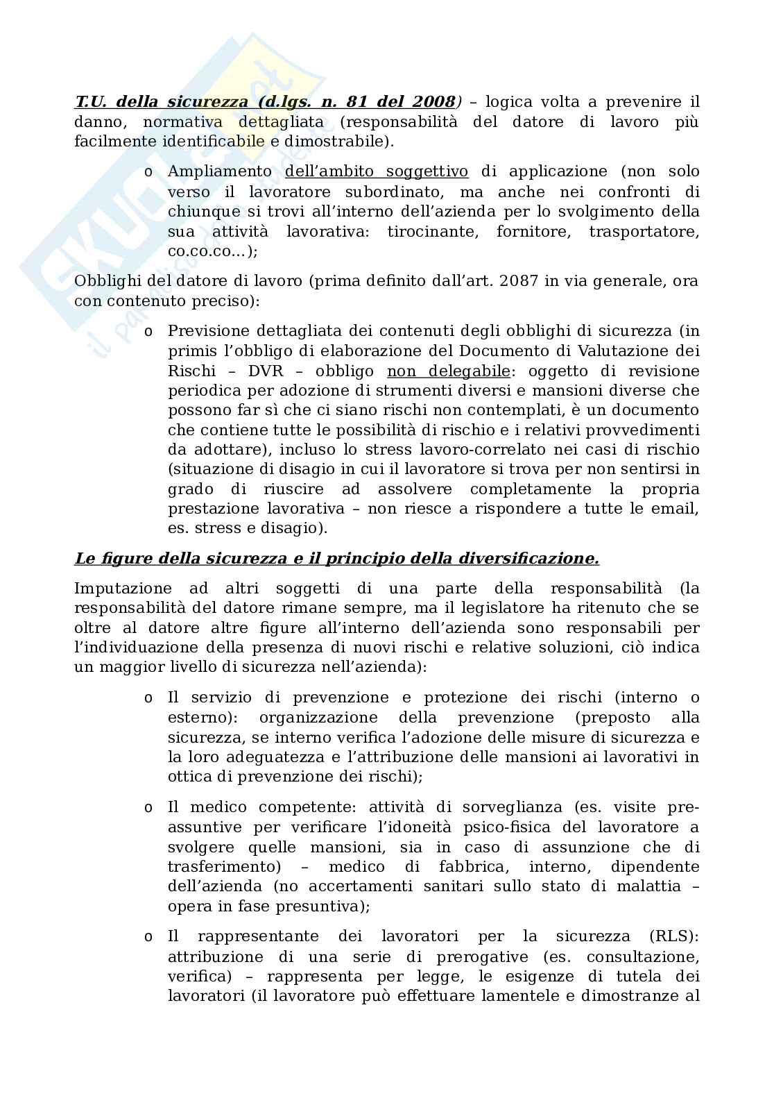 Diritto del lavoro Pag. 21